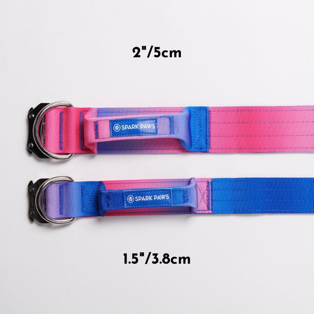 Set di collari tattici per cani - Multicolore (2"/5 cm) - Image 56