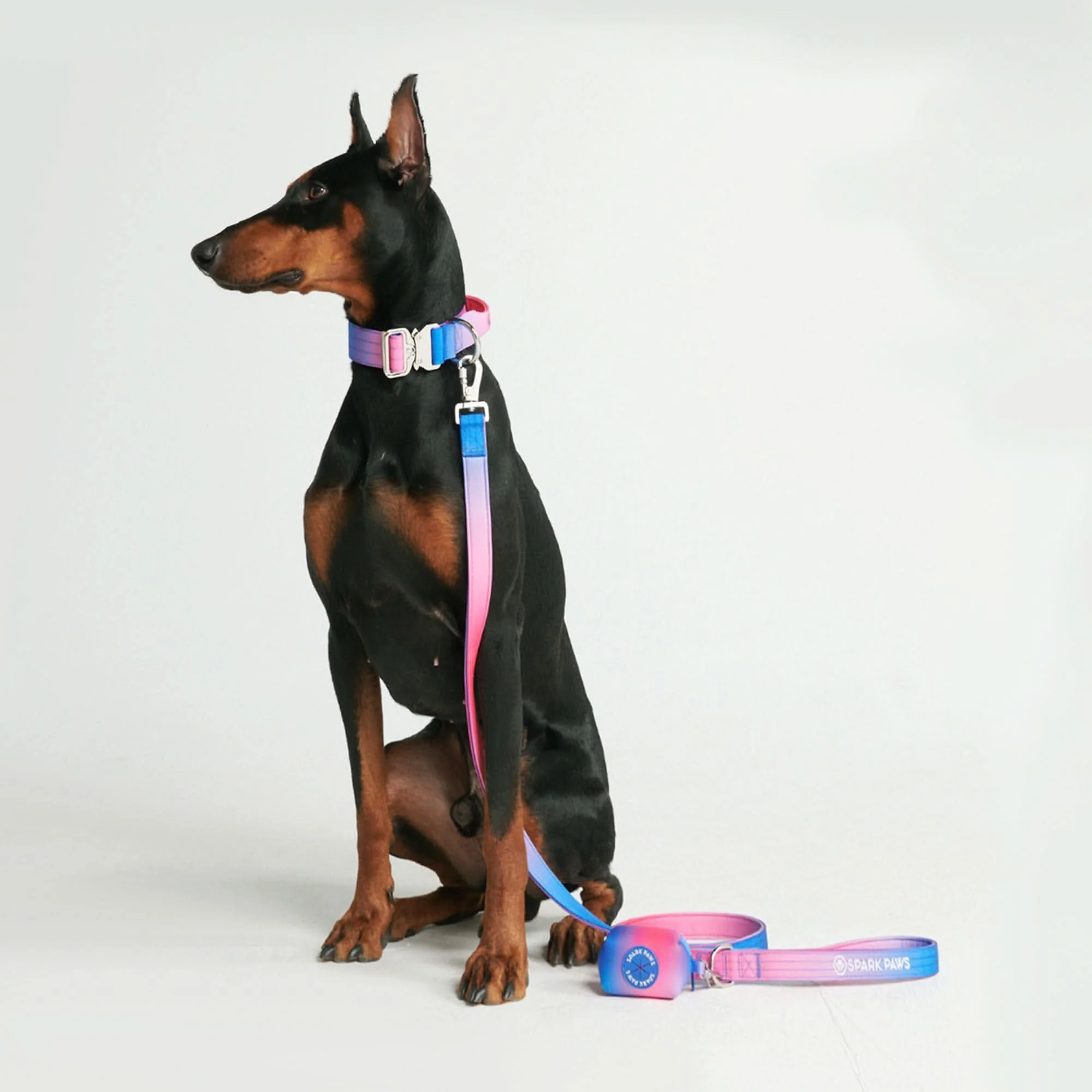 Set di collari tattici per cani - Multicolore (2"/5 cm) - Image 57