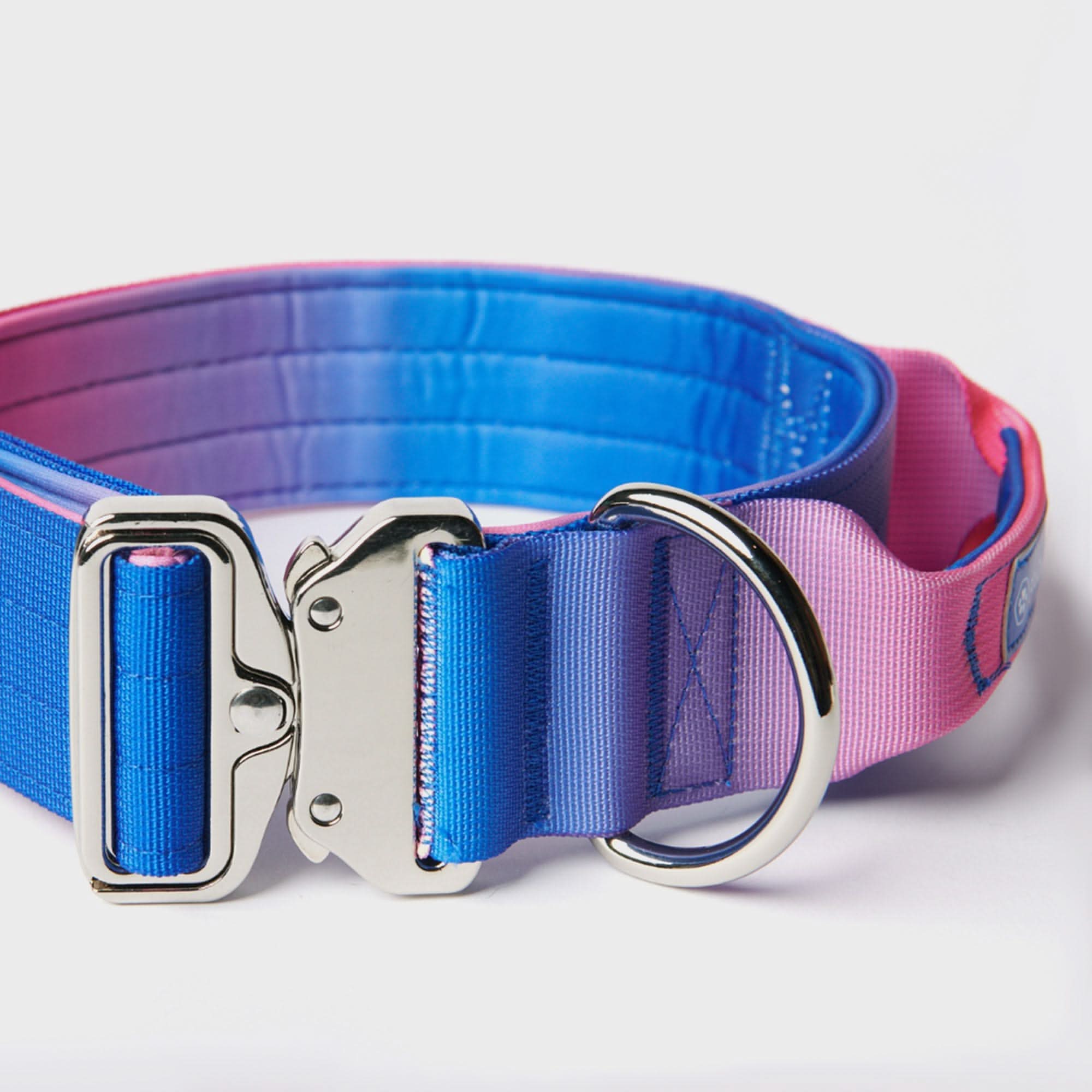 Set di collari tattici per cani - Multicolore (2"/5 cm) - Image 59