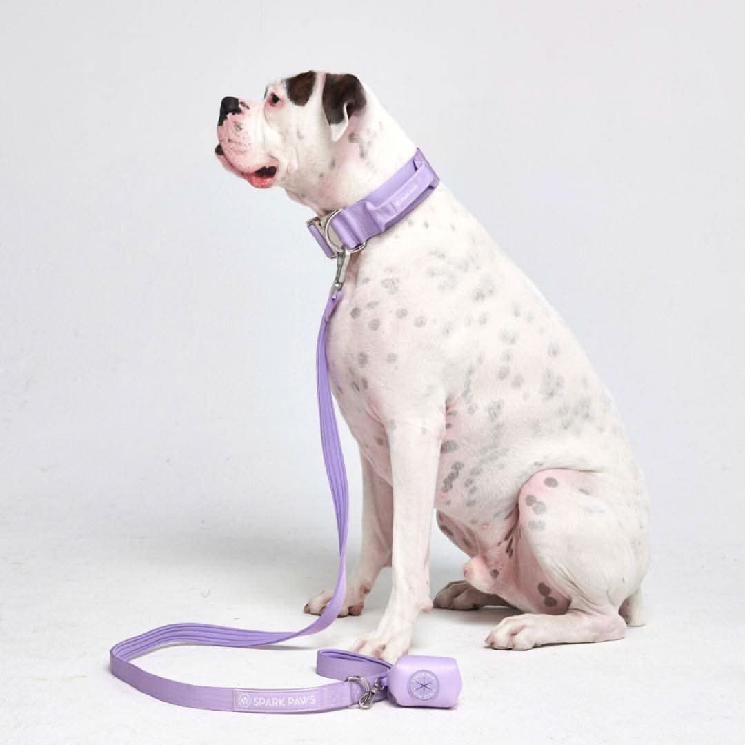 Set di collari tattici per cani - Multicolore (2"/5 cm) - Image 65