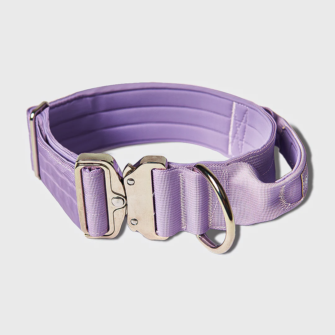 Set di collari tattici per cani - Multicolore (2"/5 cm) - Image 68