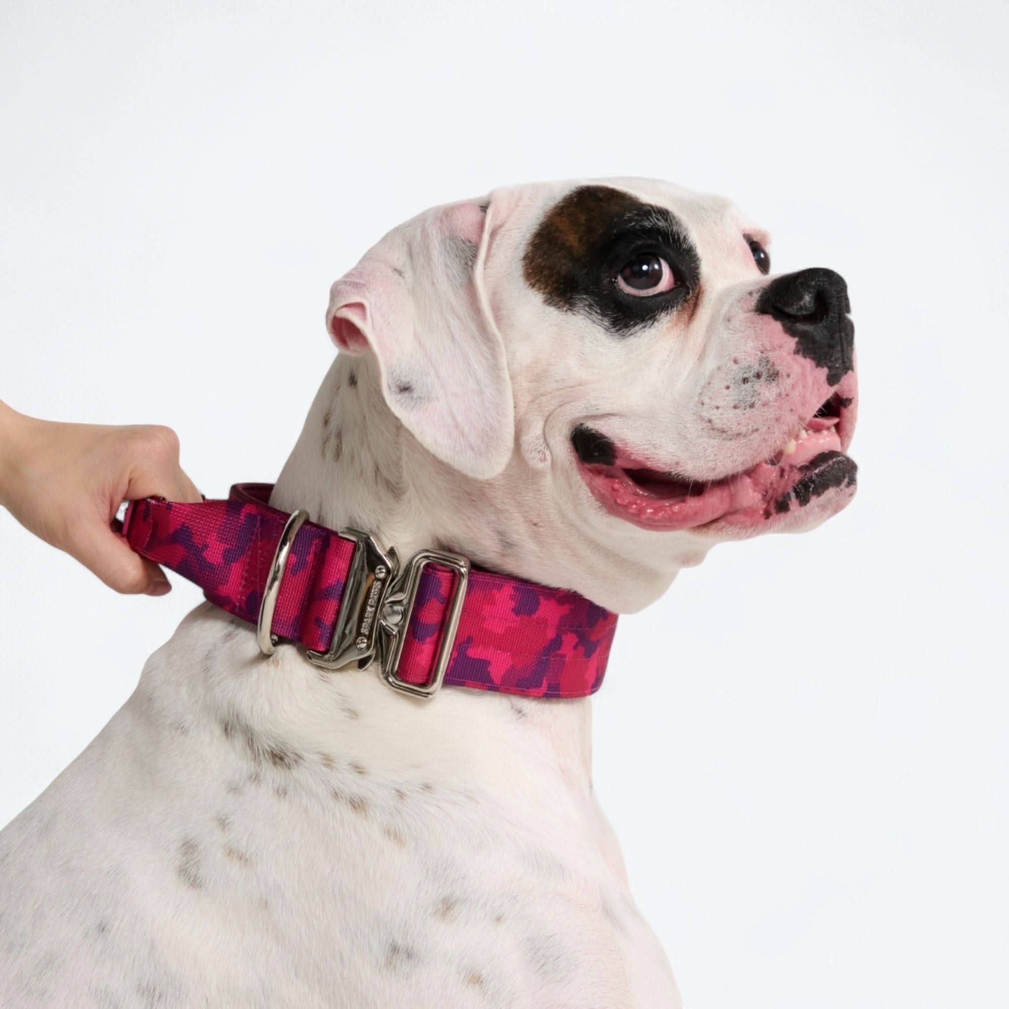 Set di collari tattici per cani - Multicolore (2"/5 cm) - Image 80