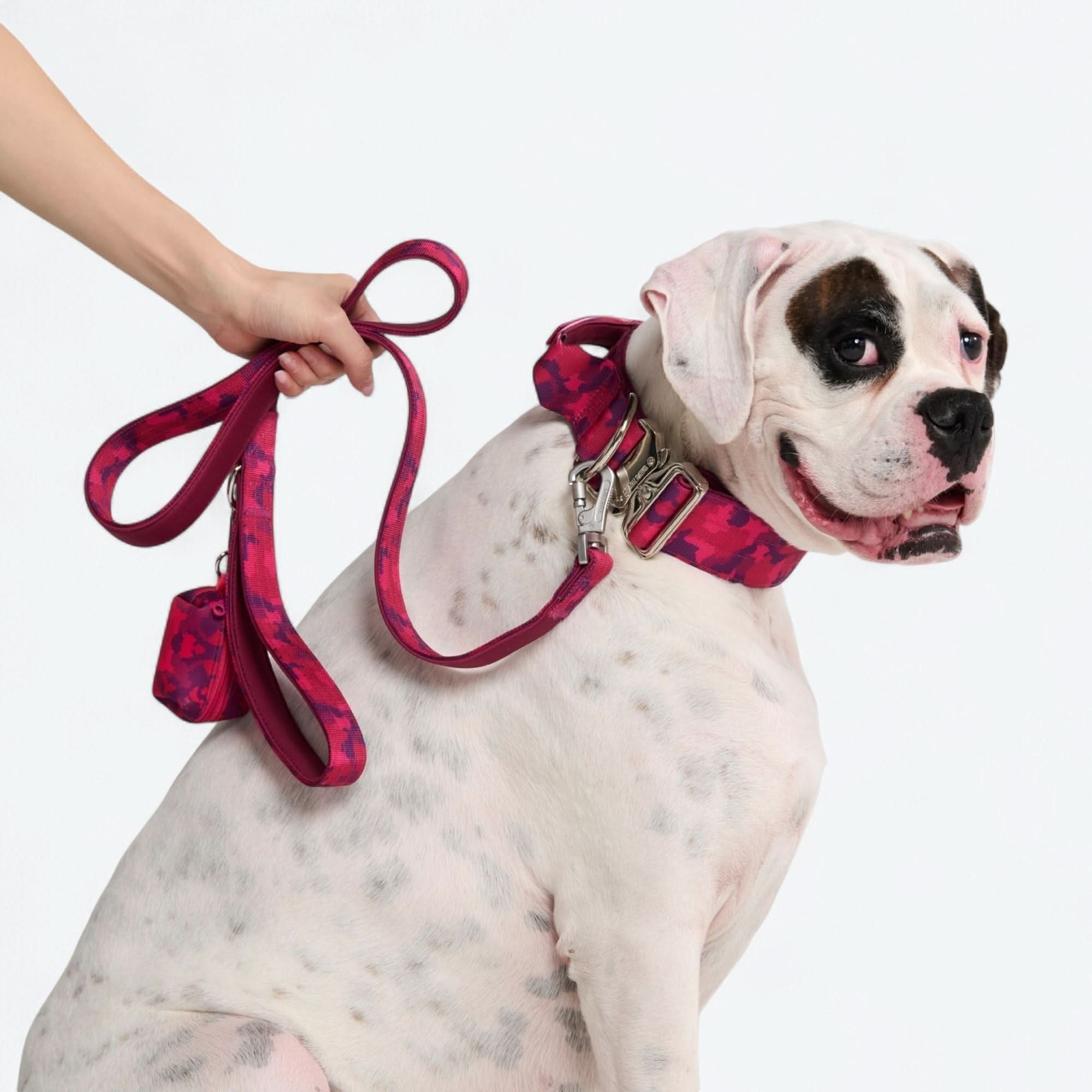 Set di collari tattici per cani - Multicolore (2"/5 cm) - Image 84