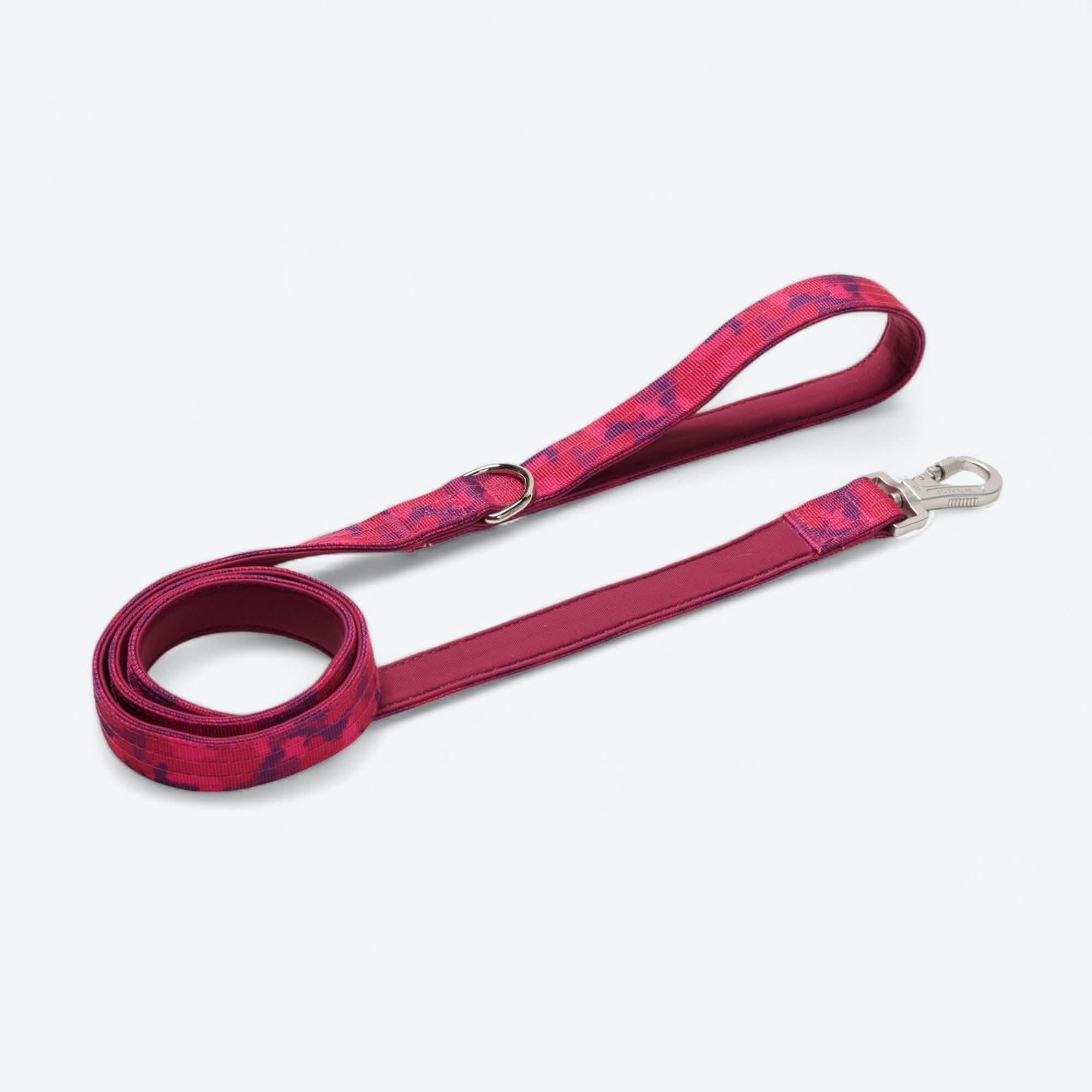 Set di collari tattici per cani - Multicolore (2"/5 cm) - Image 86
