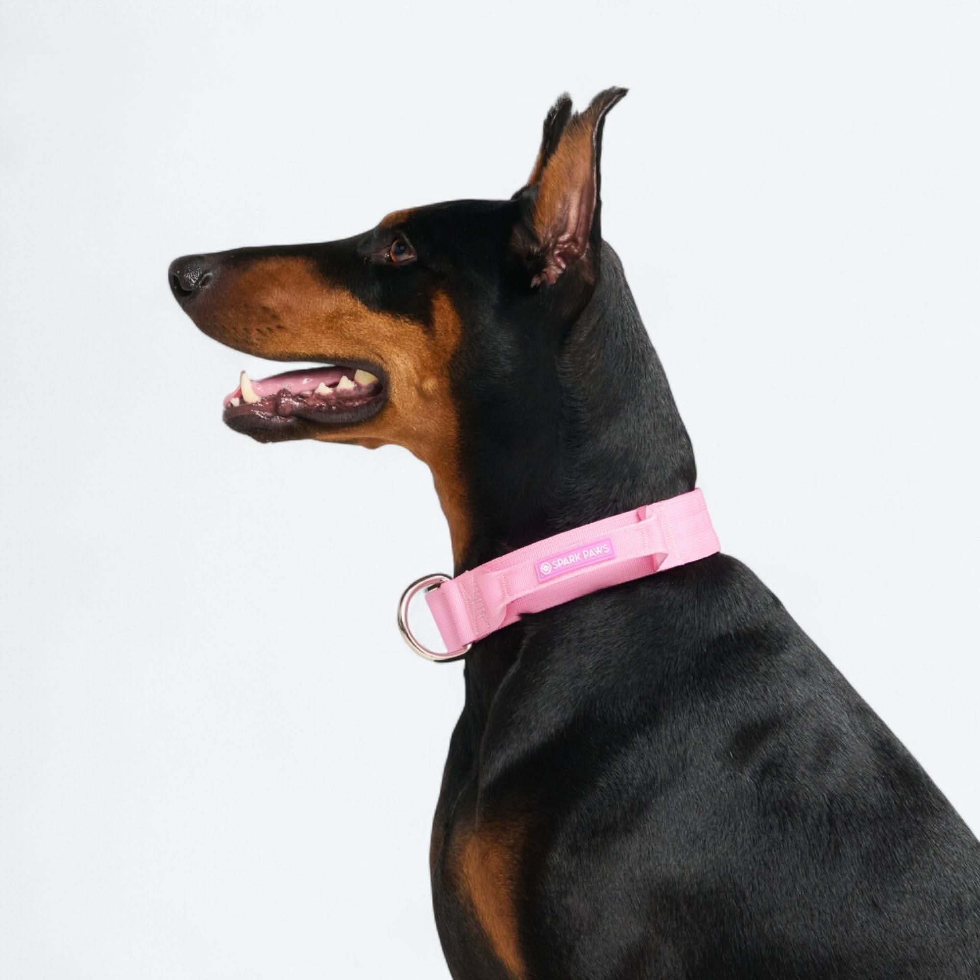 Set di collari tattici per cani - Multicolore (2"/5 cm) - Image 91