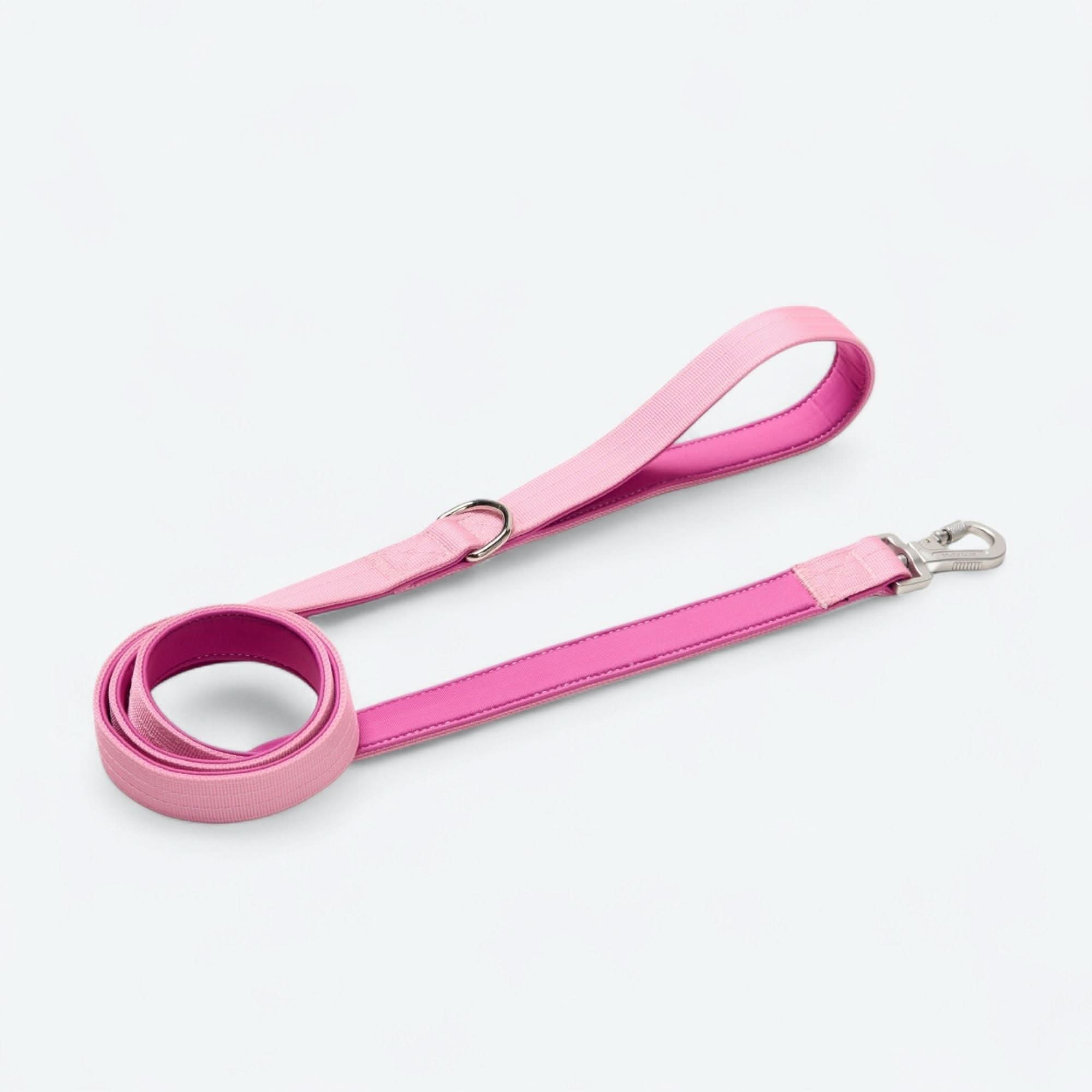 Set di collari tattici per cani - Multicolore (2"/5 cm) - Image 92