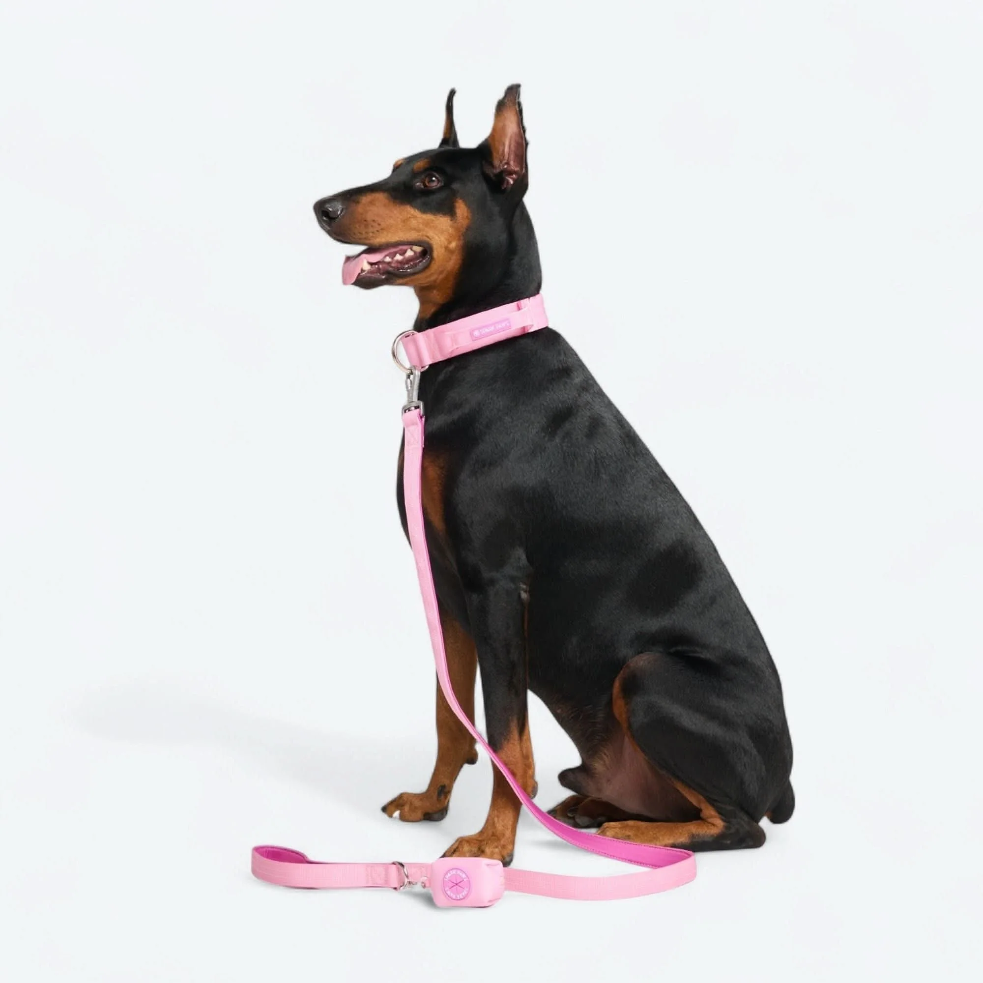 Set di collari tattici per cani - Multicolore (2"/5 cm) - Image 93