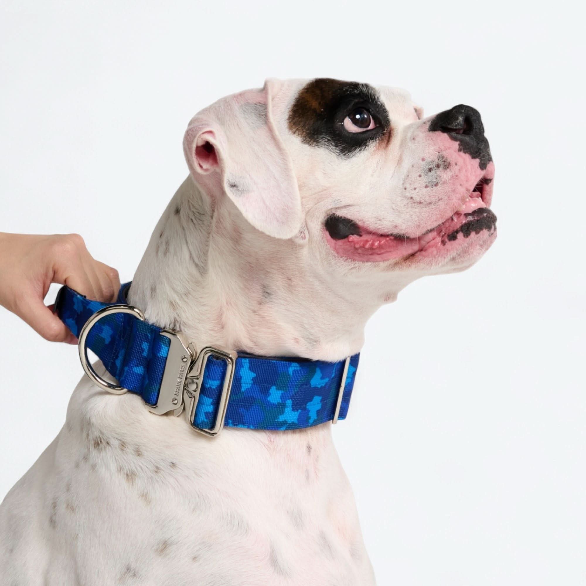 Set di collari tattici per cani - Multicolore (2"/5 cm) - Image 95