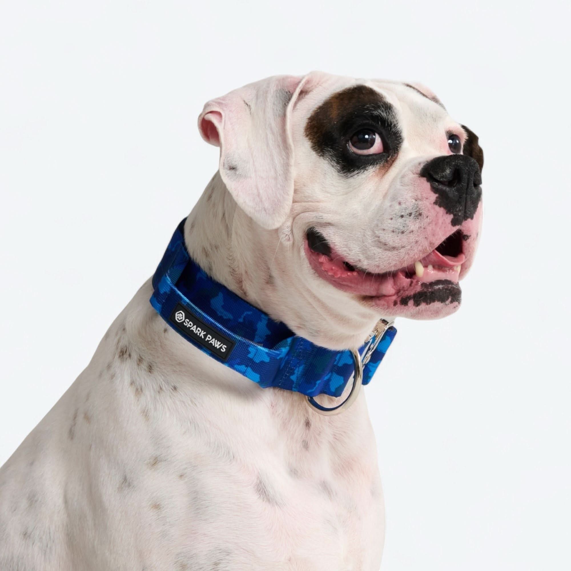 Set di collari tattici per cani - Multicolore (2"/5 cm) - Image 99