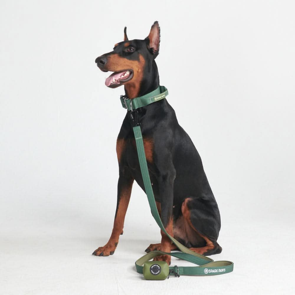 Set di collari tattici per cani - Verde Militare - Image 3