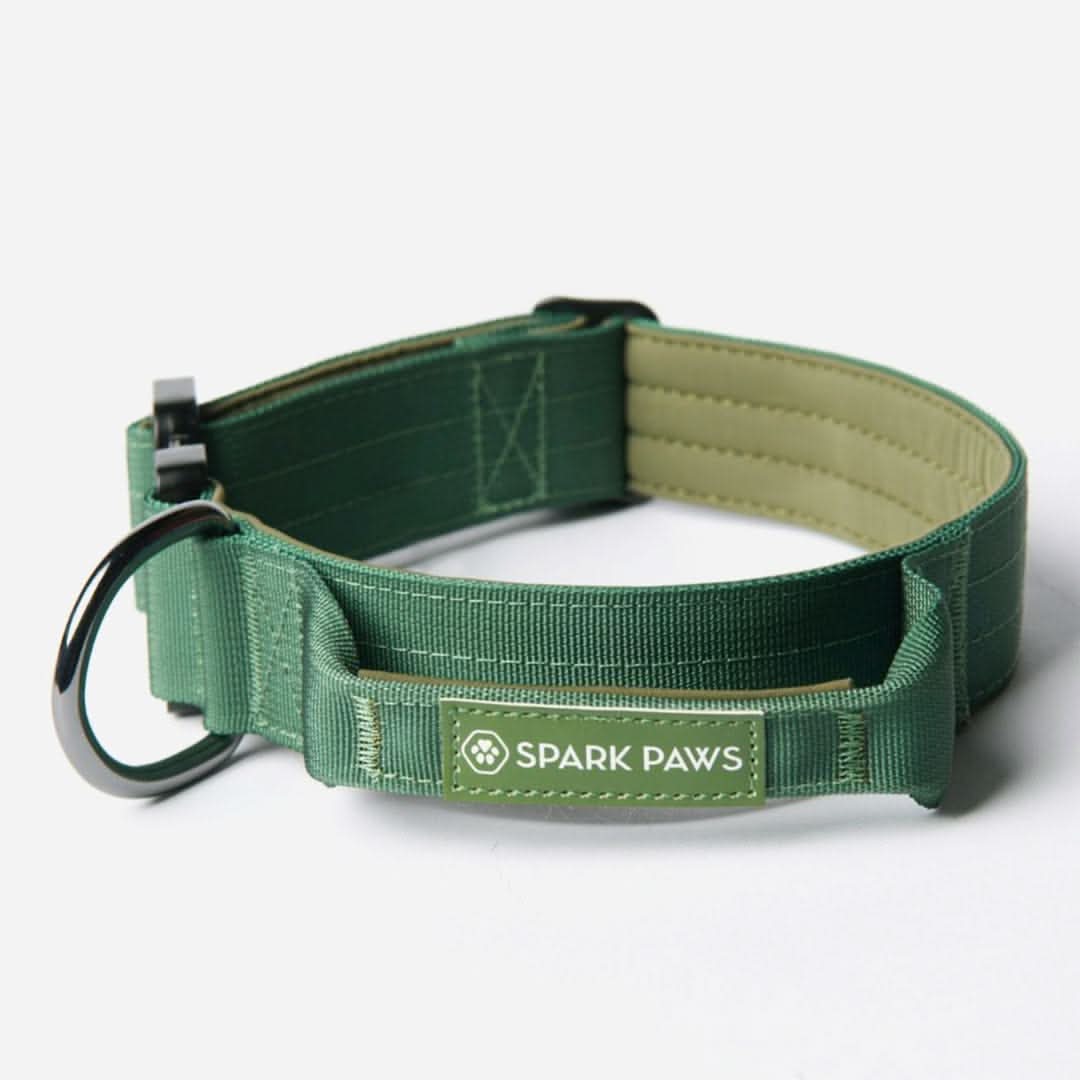 Set di collari tattici per cani - Verde Militare - Image 4