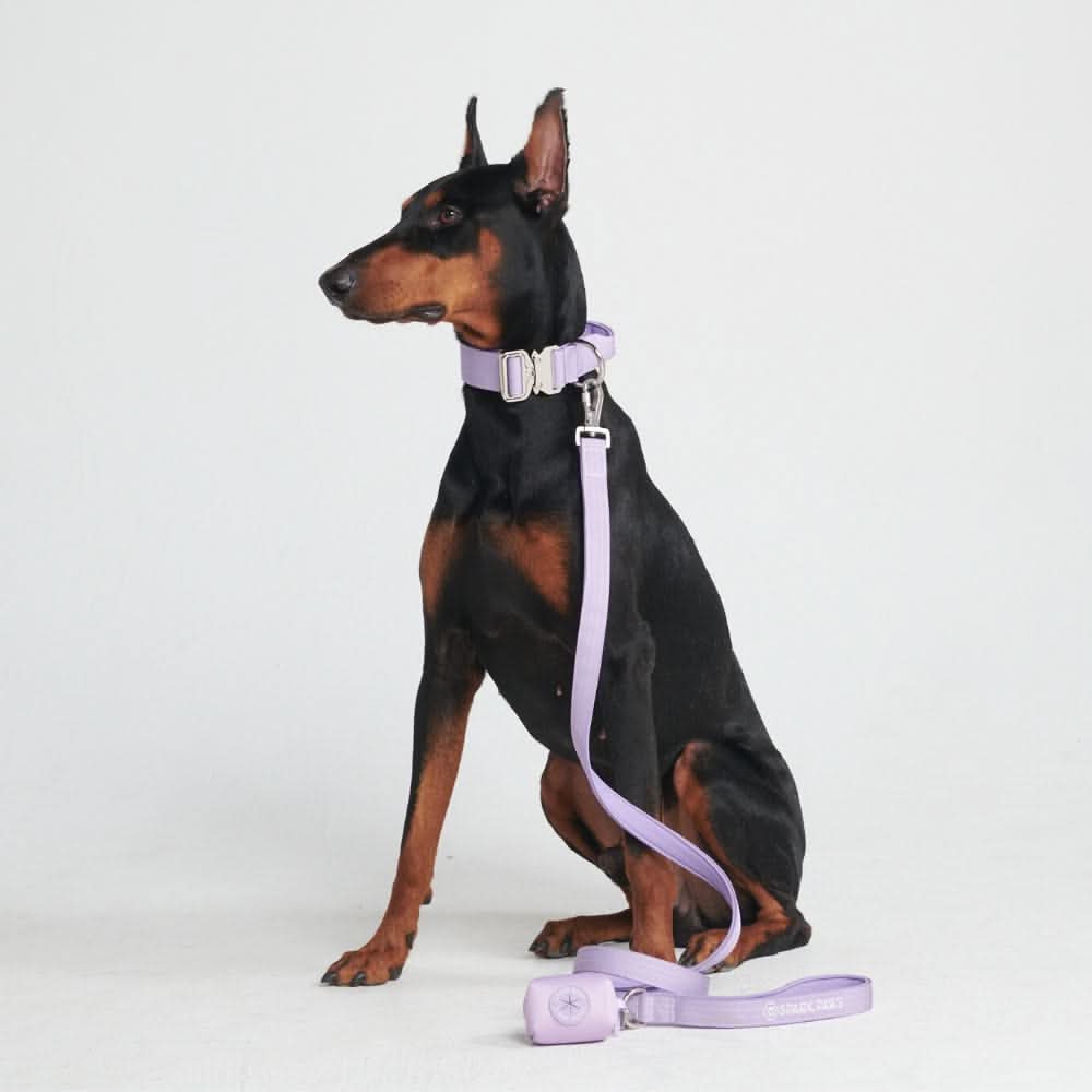 Set di collari tattici per cani - Lilla - Image 4