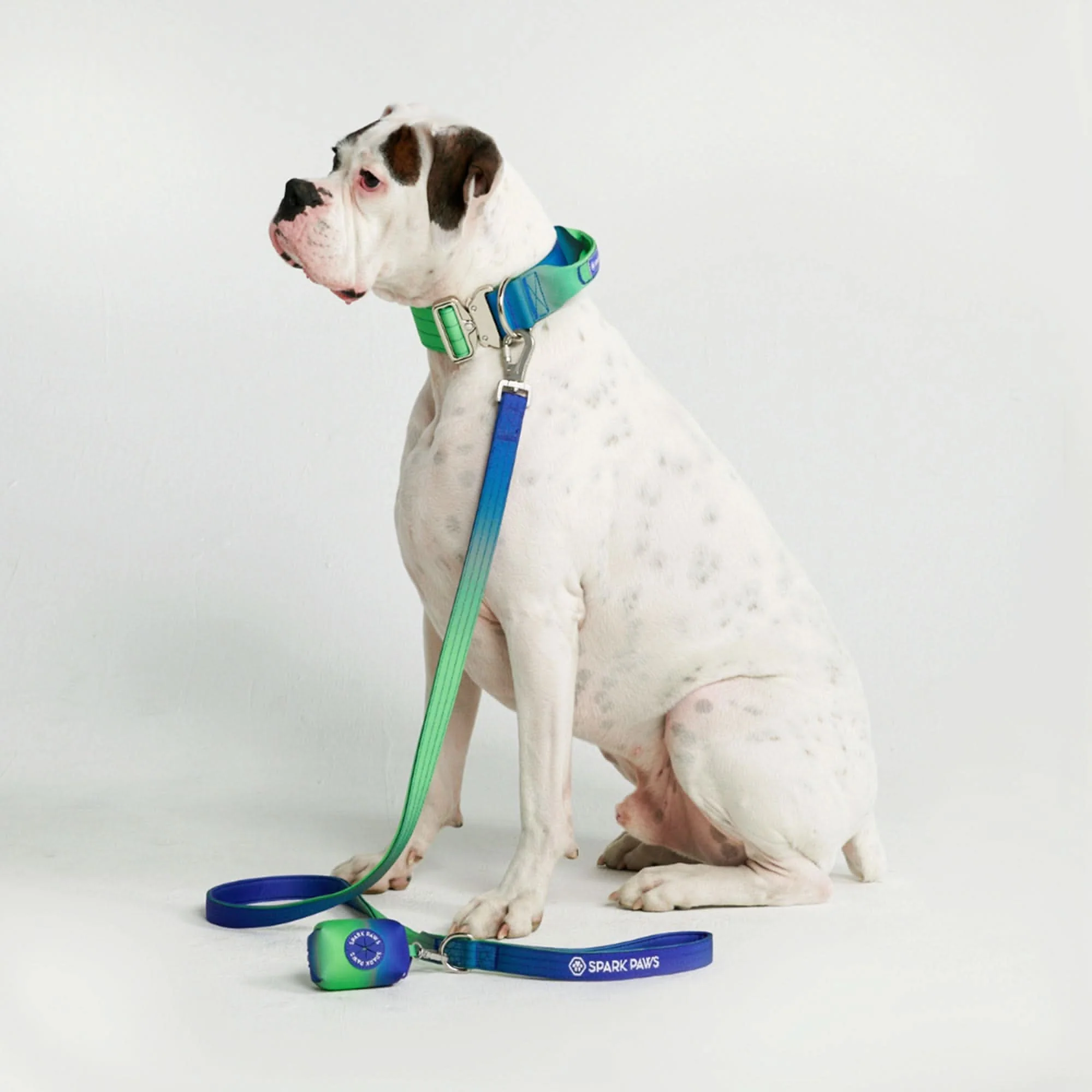 Set di collari tattici per cani - Lime Wave - Image 3