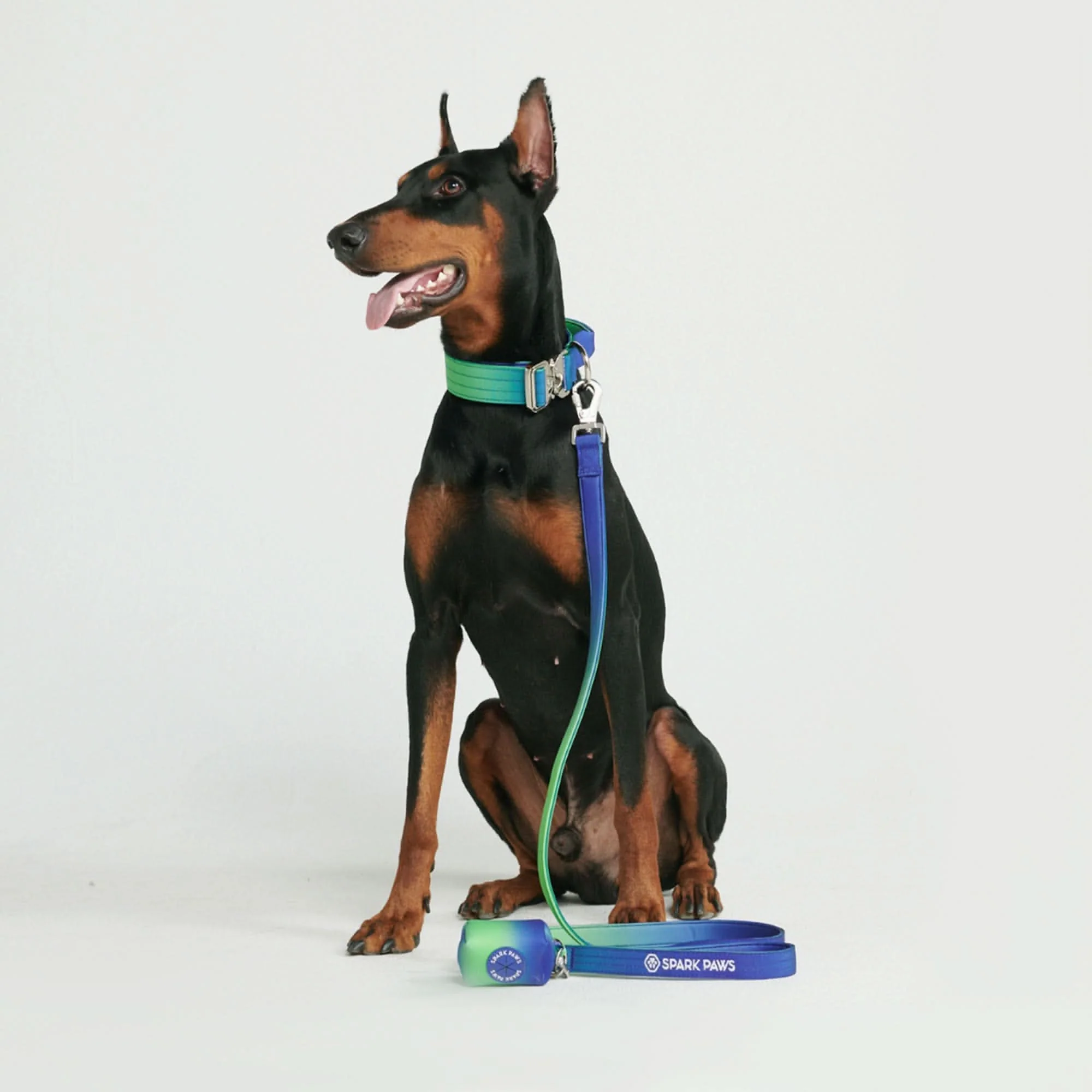 Set di collari tattici per cani - Lime Wave - Image 4