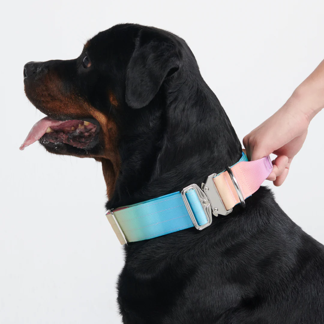 Set di collari tattici per cani - Glassa pastello - Image 10