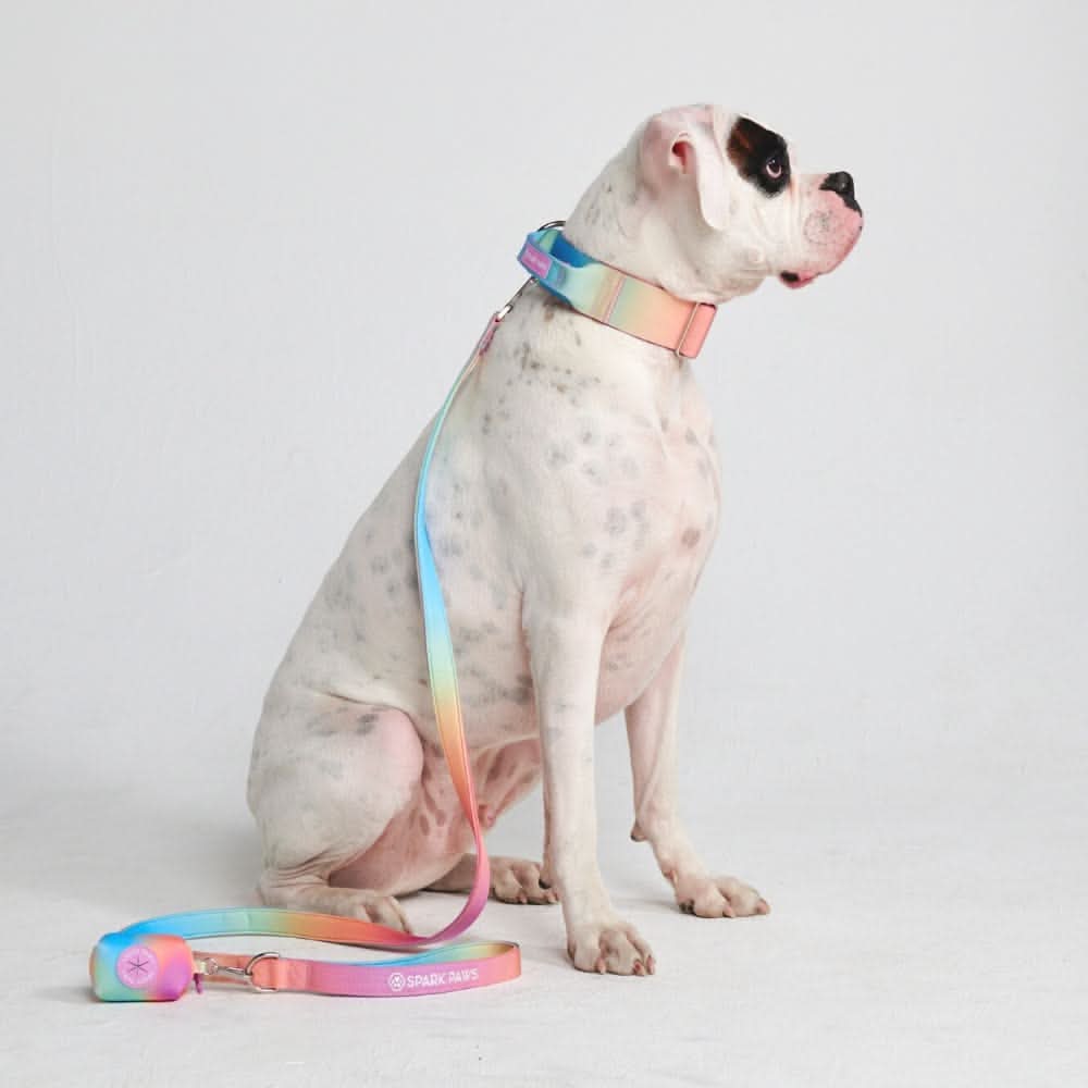 Set di collari tattici per cani - Glassa pastello - Image 4