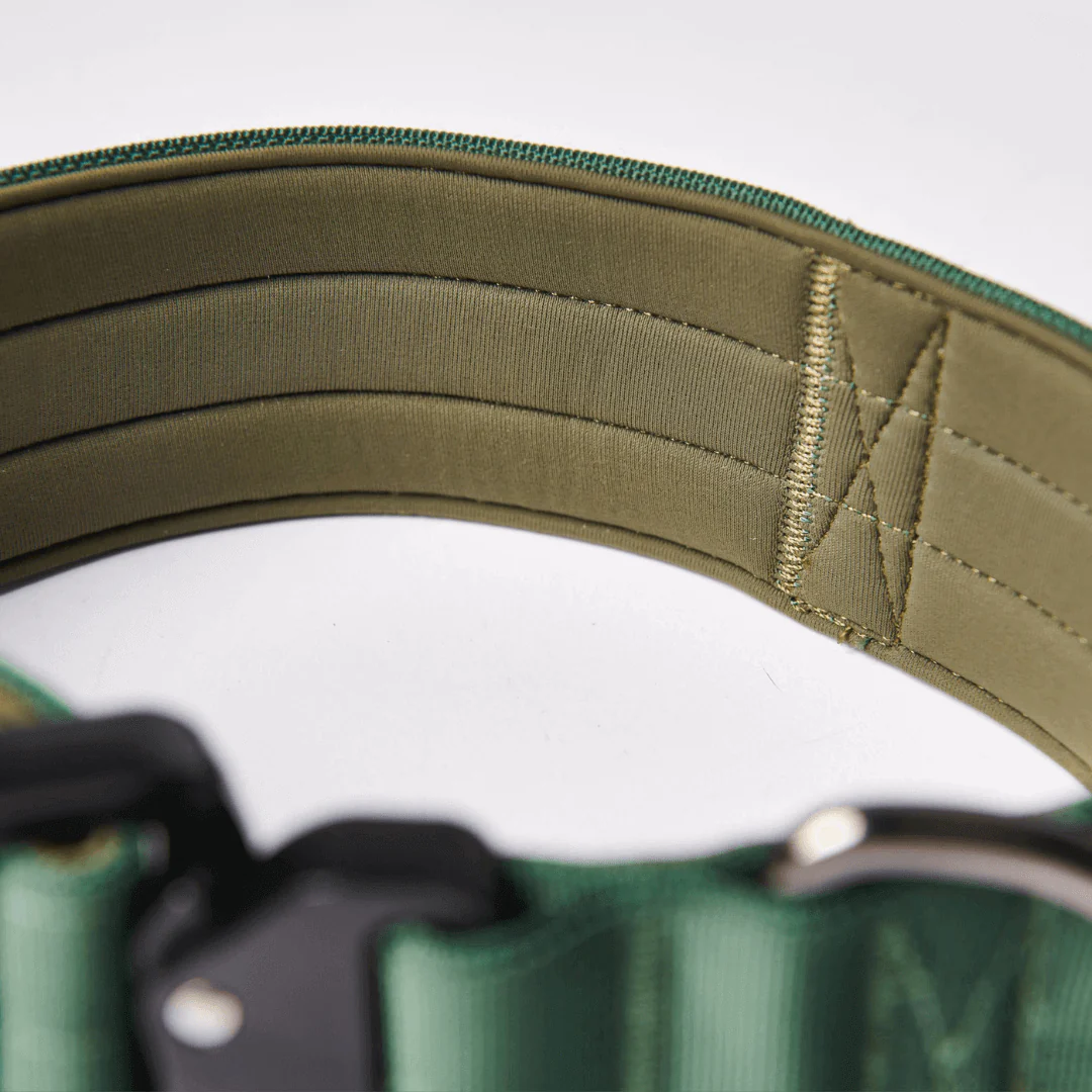 Collare tattico per cani - Verde Militare - Image 4