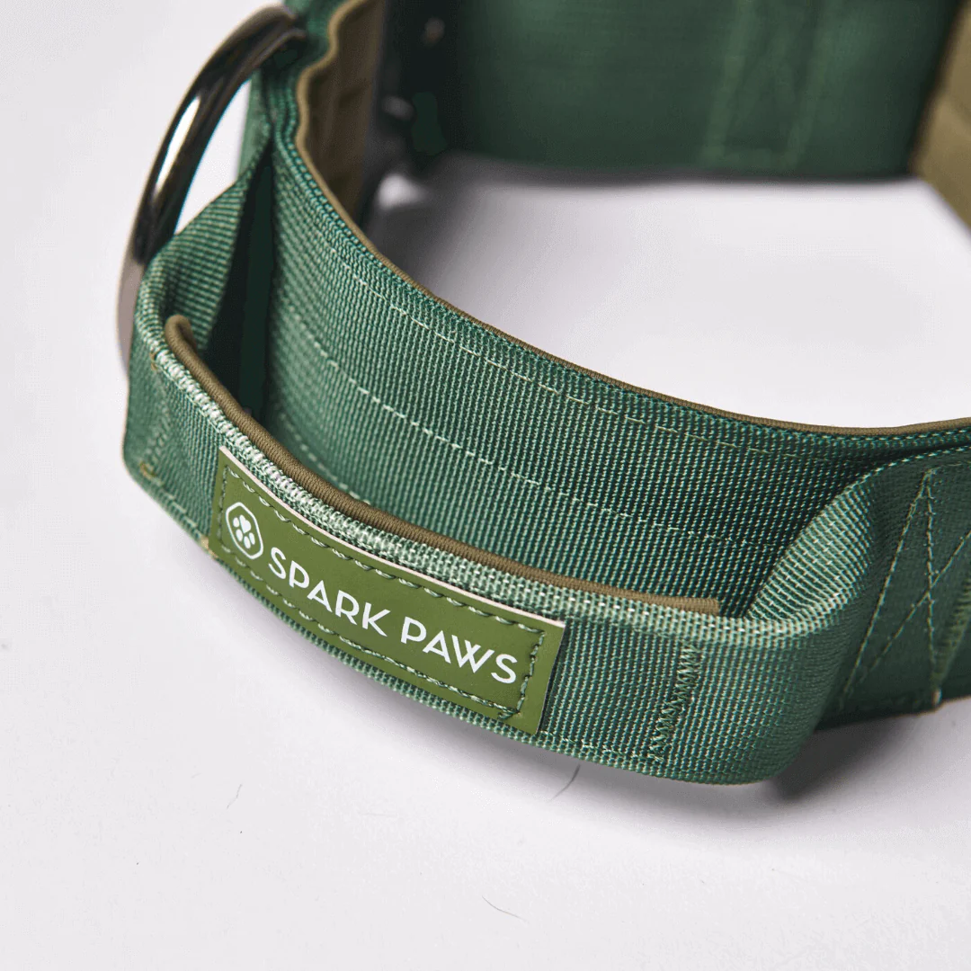 Collare tattico per cani - Verde Militare - Image 5