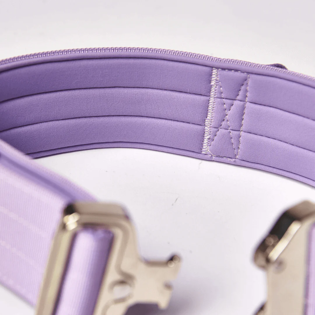 Collare tattico per cani - Lilla - Image 10