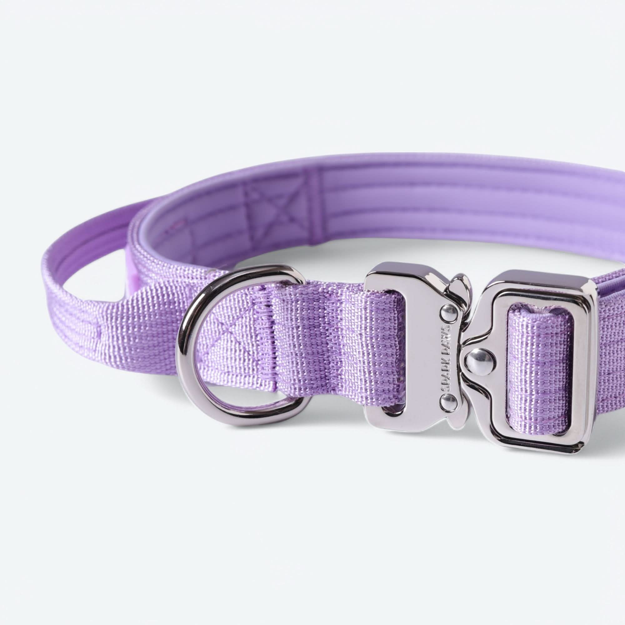 Collare tattico per cani - Lilla - Image 13
