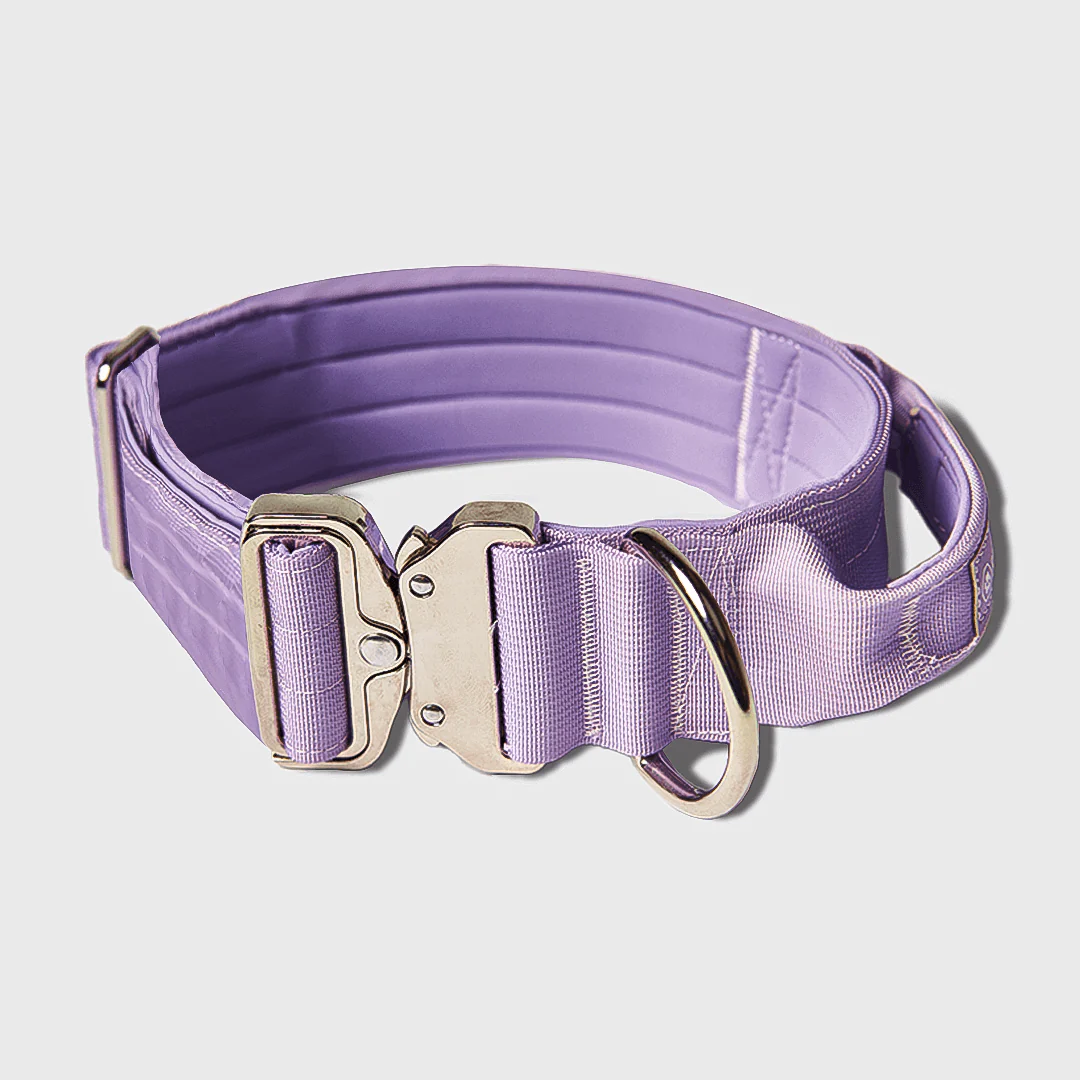 Collare tattico per cani - Lilla - Image 3