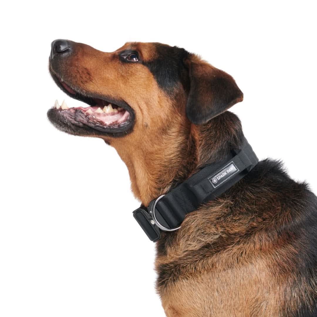 Collare tattico per cani - Nero - Image 3