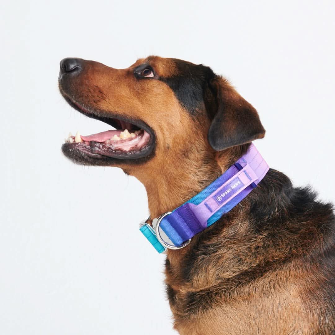 Collare tattico per cani - 90s Retro - Image 3