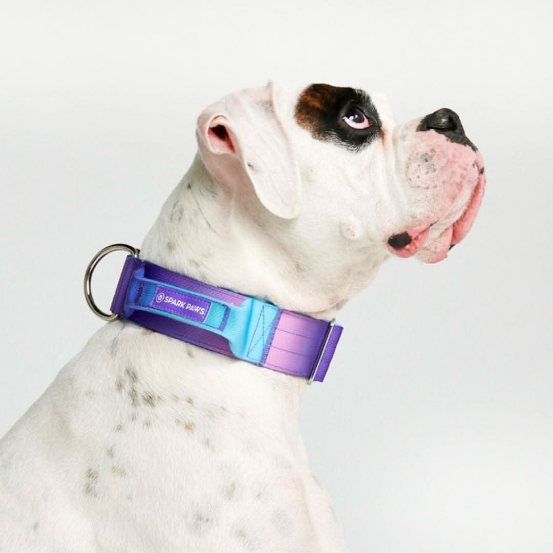 Collare tattico per cani - 90s Retro - Image 6