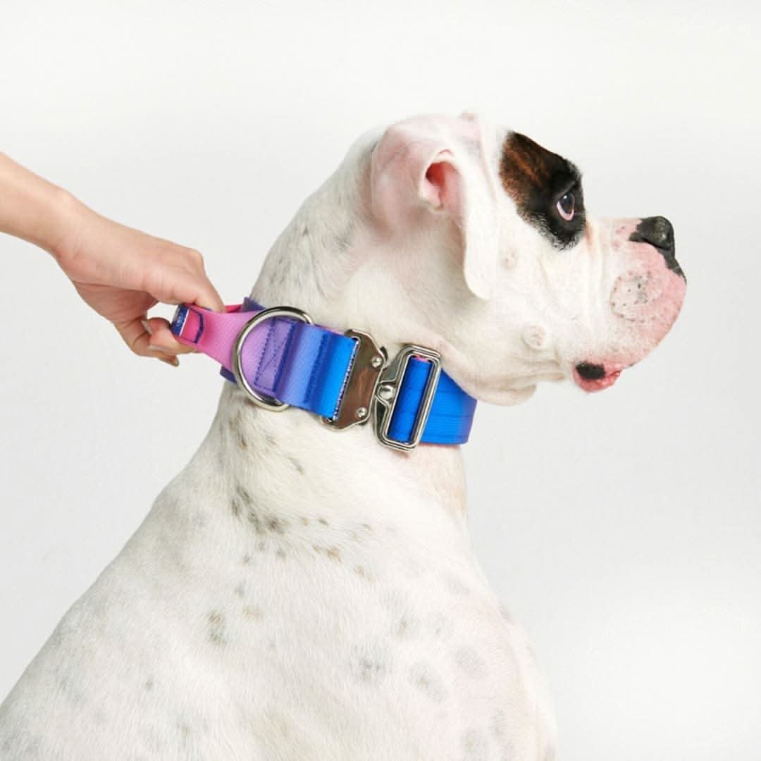 Collare tattico per cani - Cono di Neve - Image 8