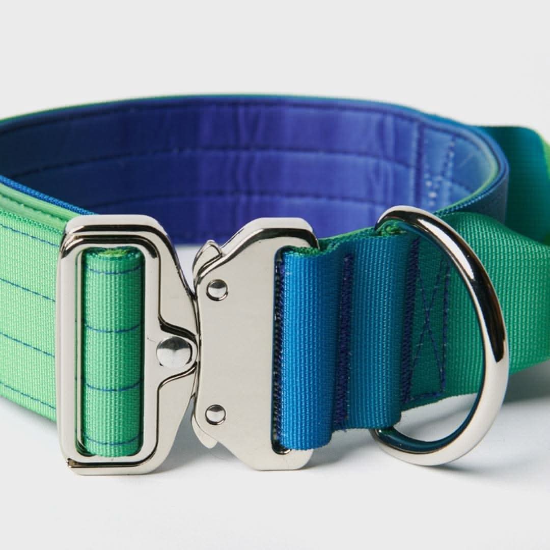 Collare tattico per cani - Lime Wave - Image 5