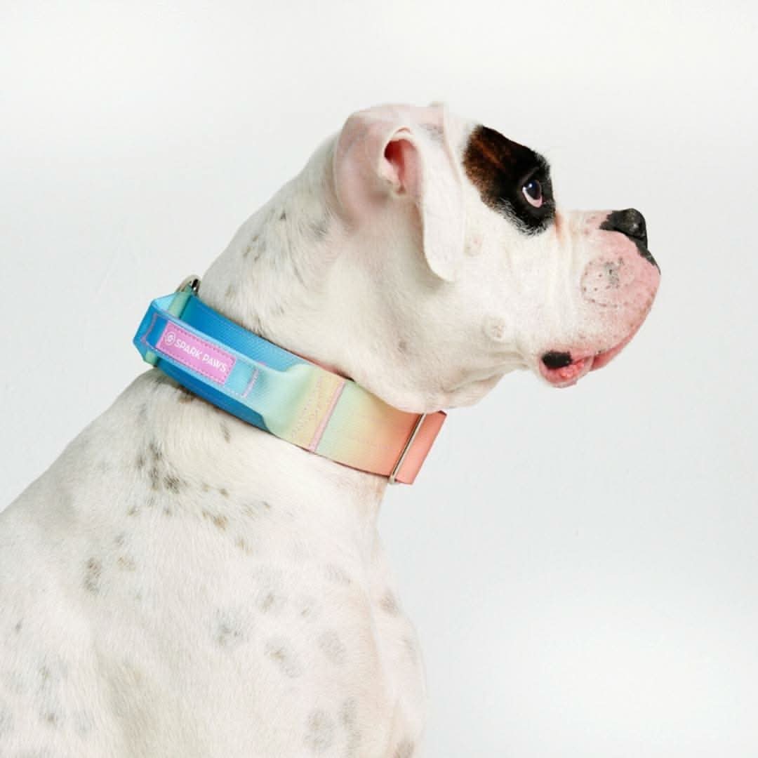Collare tattico per cani - Glassa Pastello - Image 5