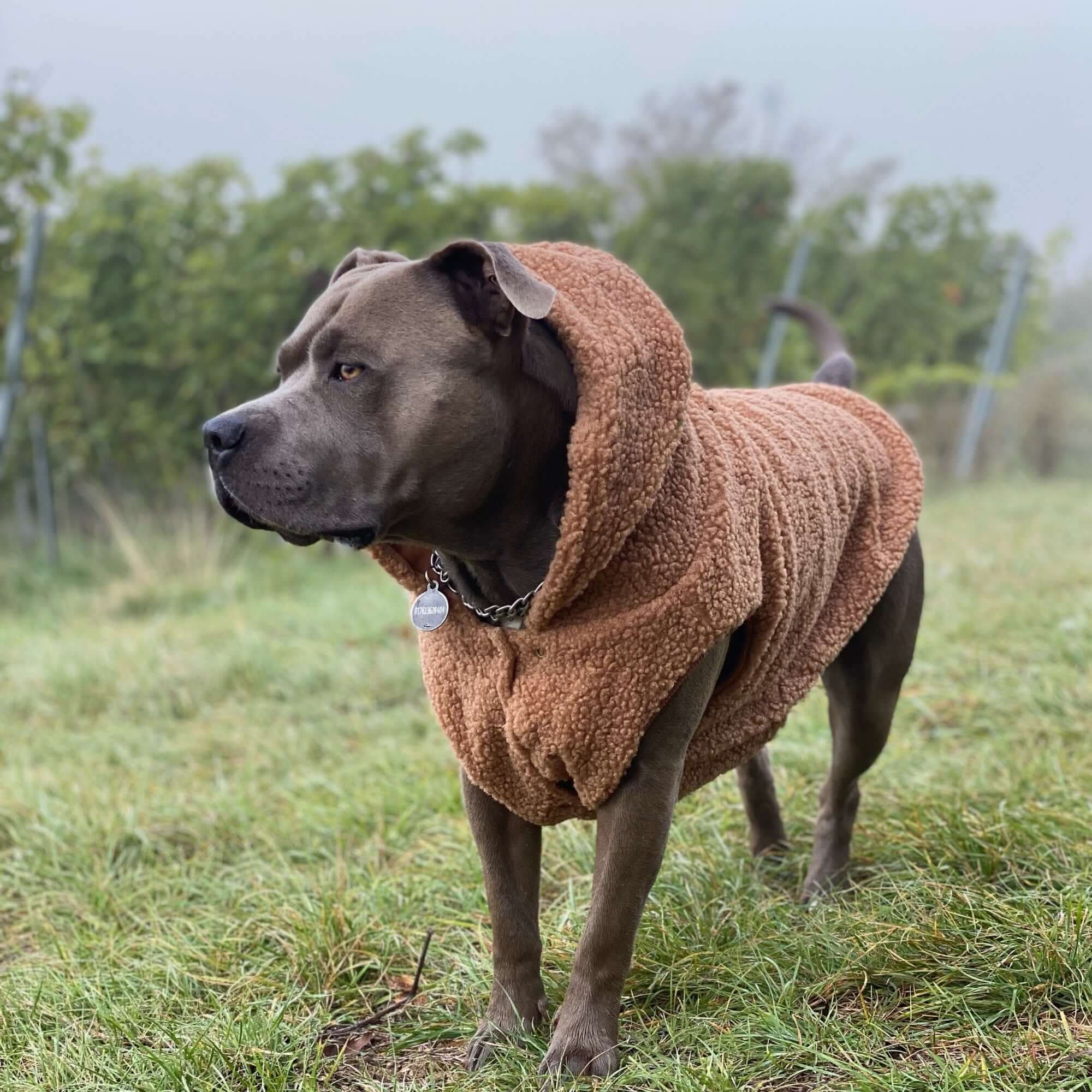 Giacca Teddy Sherpa - Image 11