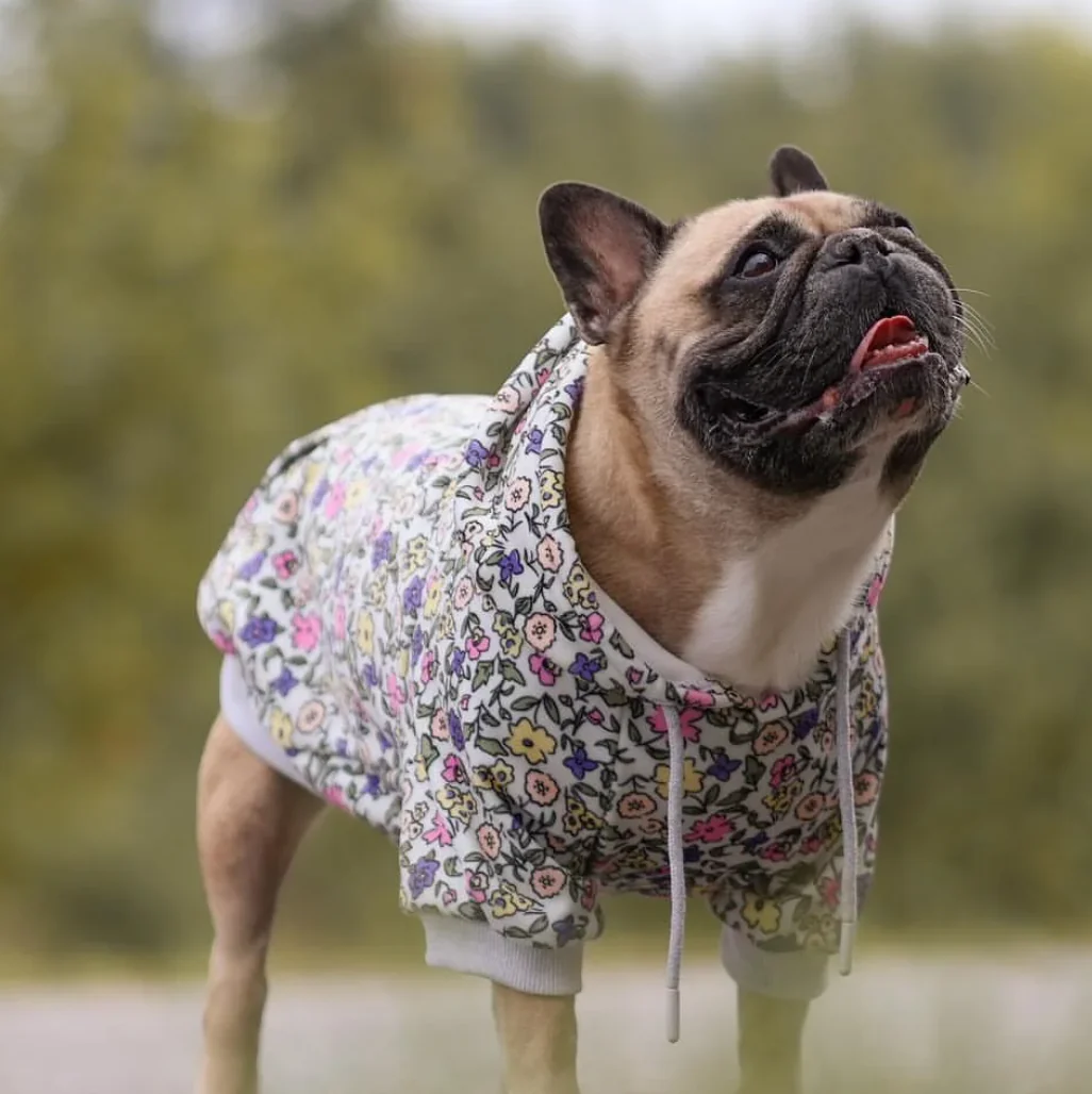 Felpa Vintage Flower per Cane - Grigio Chiaro - Image 2