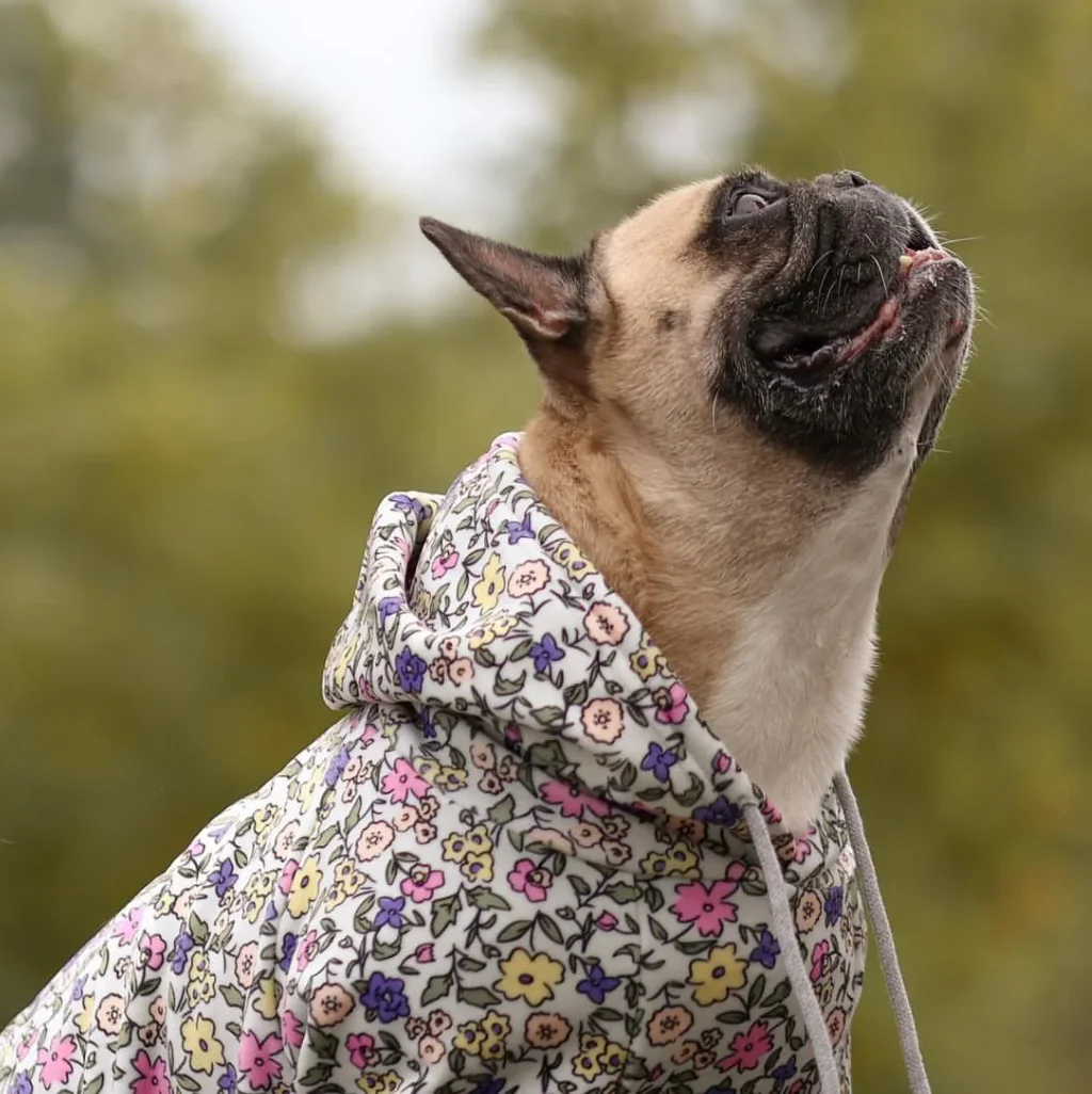 Felpa Vintage Flower per Cane - Grigio Chiaro - Image 3