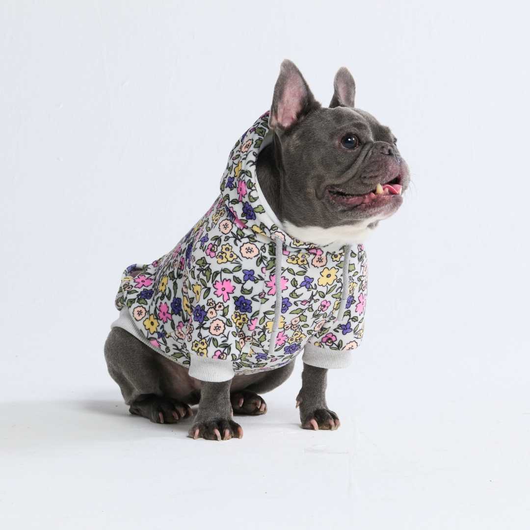 Felpa Vintage Flower per Cane - Grigio Chiaro - Image 4