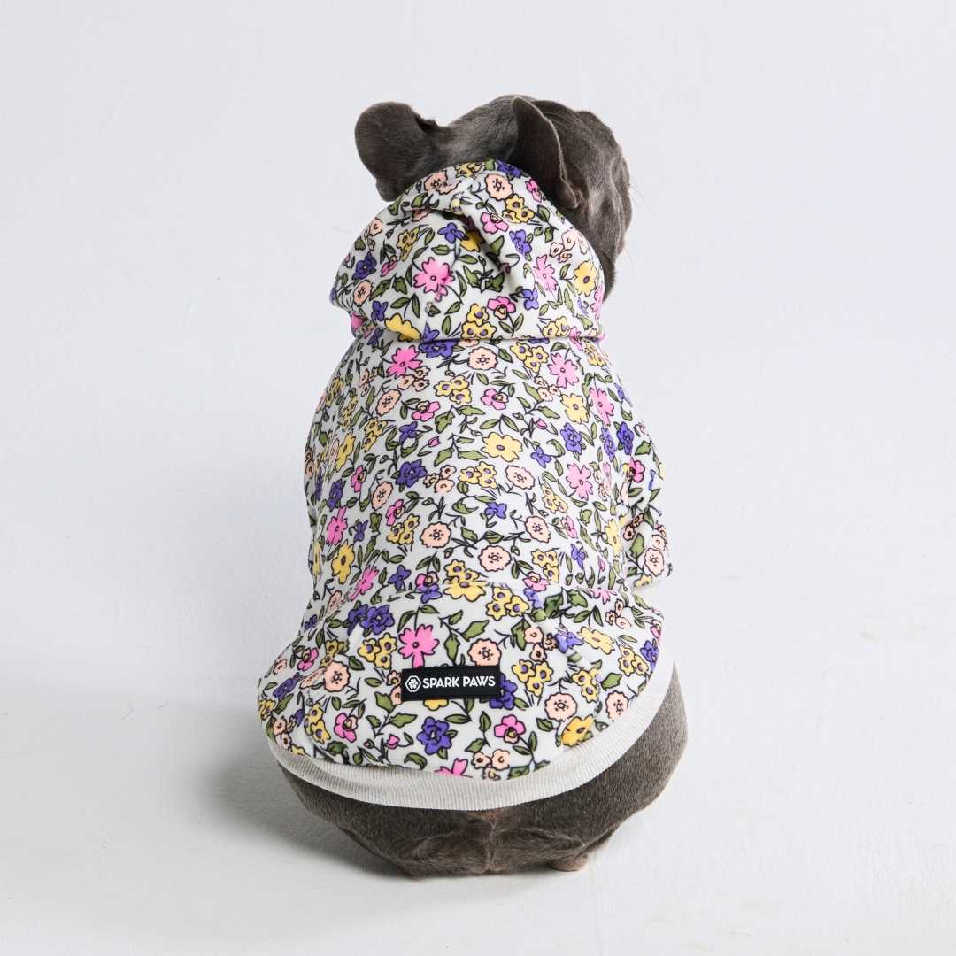 Felpa Vintage Flower per Cane - Grigio Chiaro - Image 5