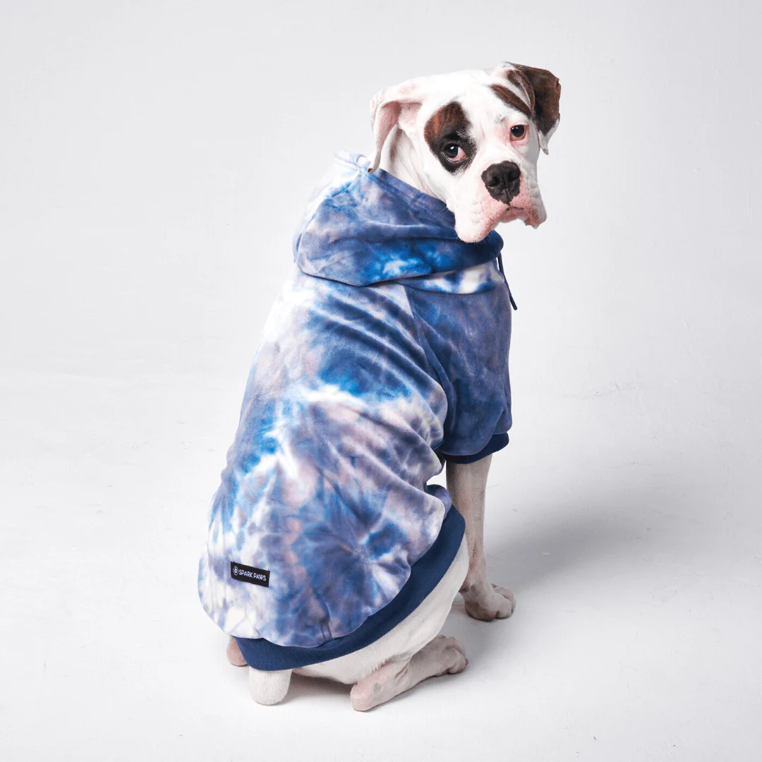 Maglione in Velluto per Umani - Blu Zaffiro - Image 7