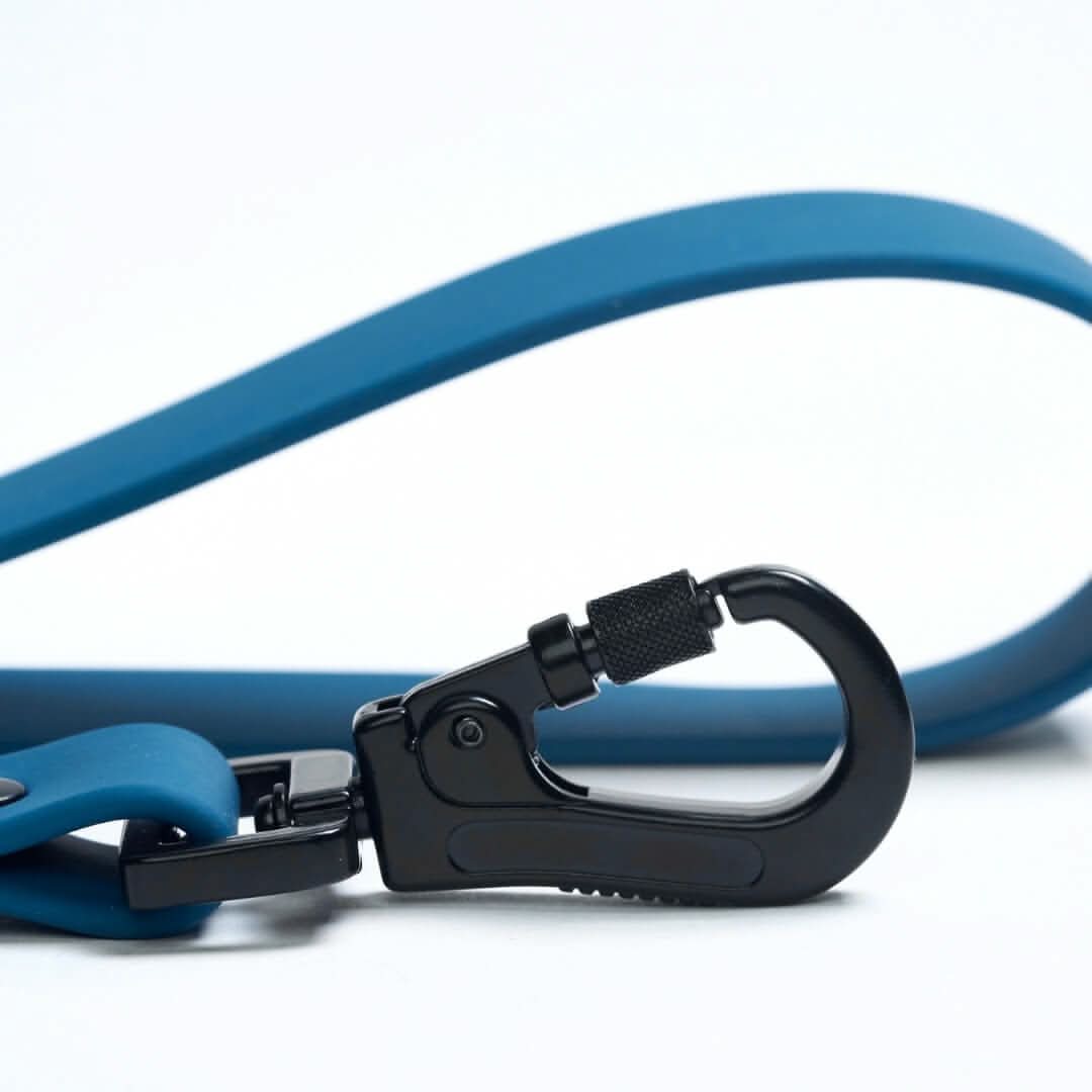 Guinzaglio Impermeabile per Cani in PVC - Image 10