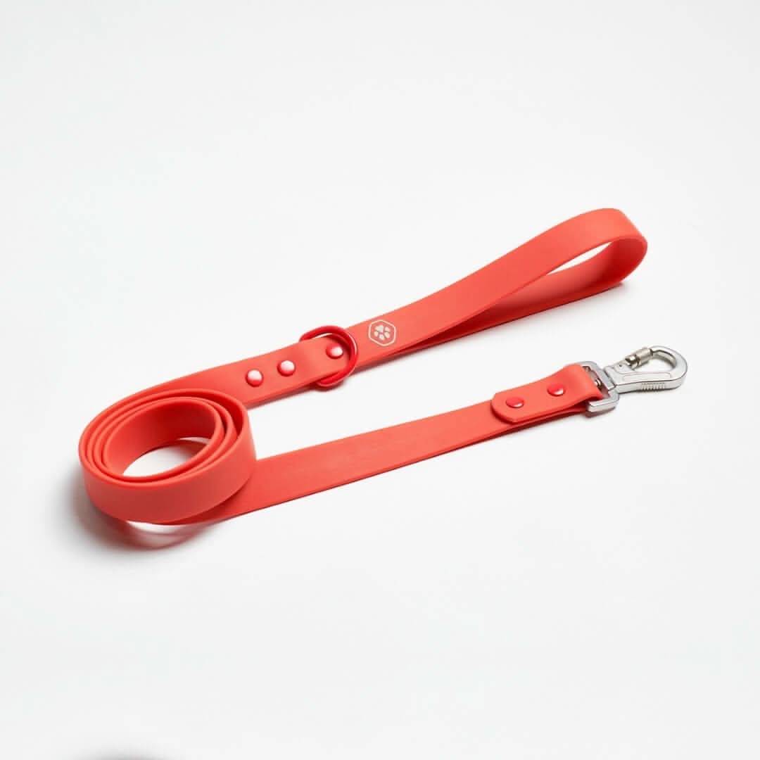 Guinzaglio Impermeabile per Cani in PVC - Image 11