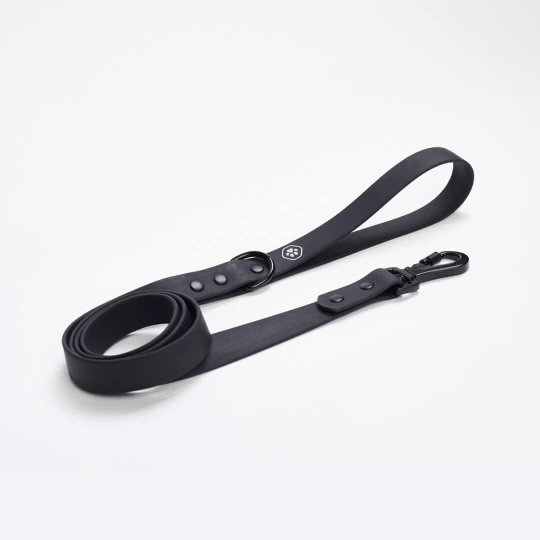 Guinzaglio Impermeabile per Cani in PVC - Image 3