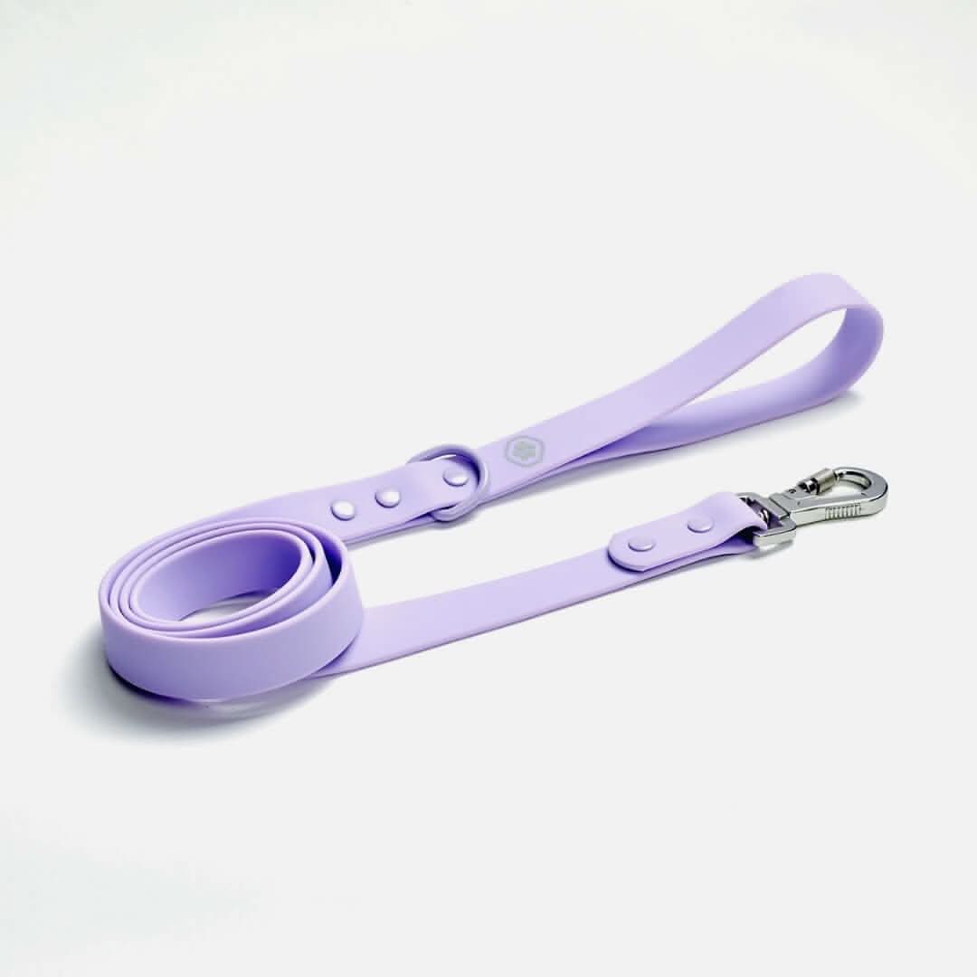 Guinzaglio Impermeabile per Cani in PVC - Image 5