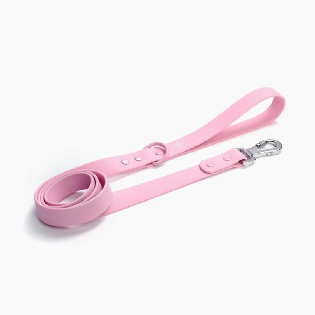 Guinzaglio Impermeabile per Cani in PVC - Image 7