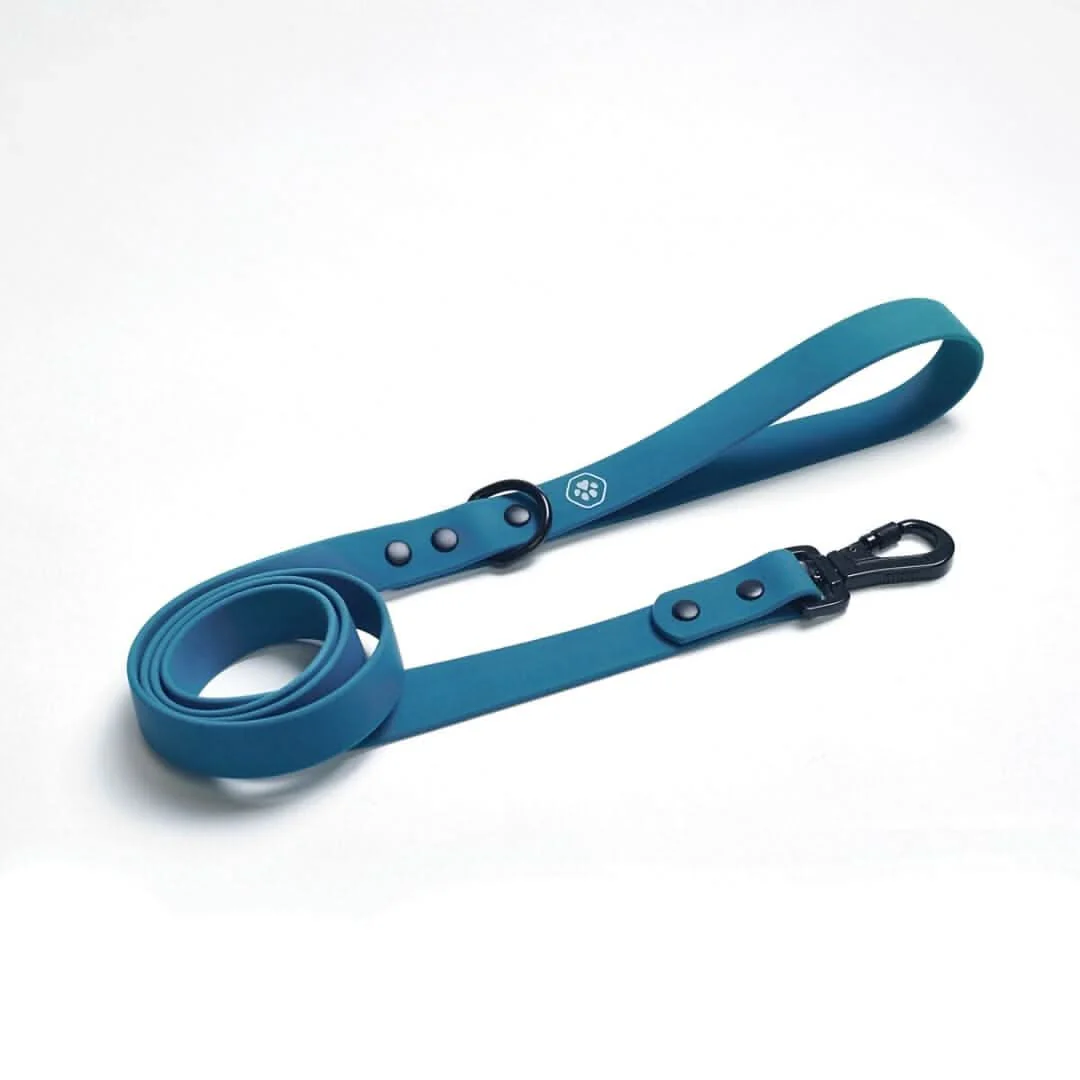Guinzaglio Impermeabile per Cani in PVC - Image 9