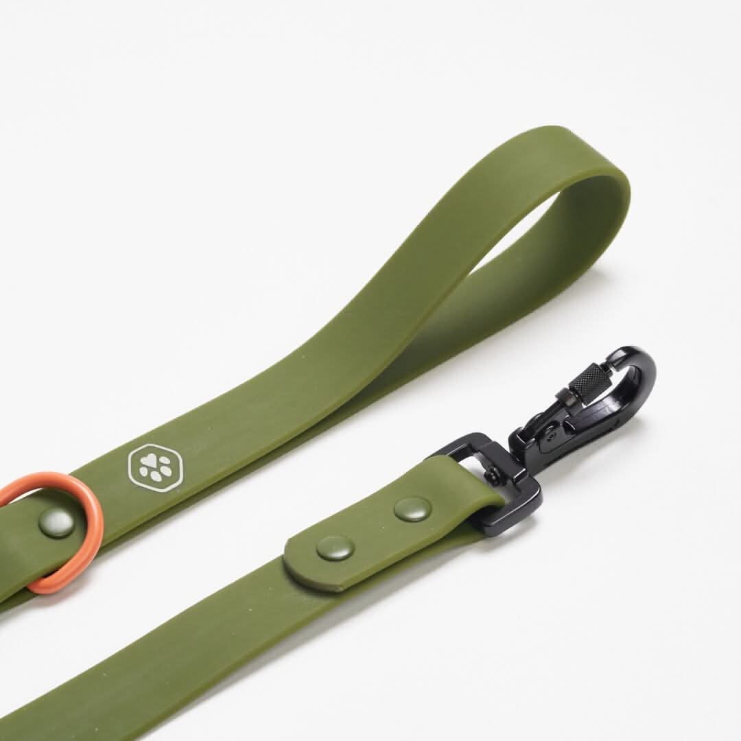 Guinzaglio Impermeabile per cani in PVC - Verde - Image 3