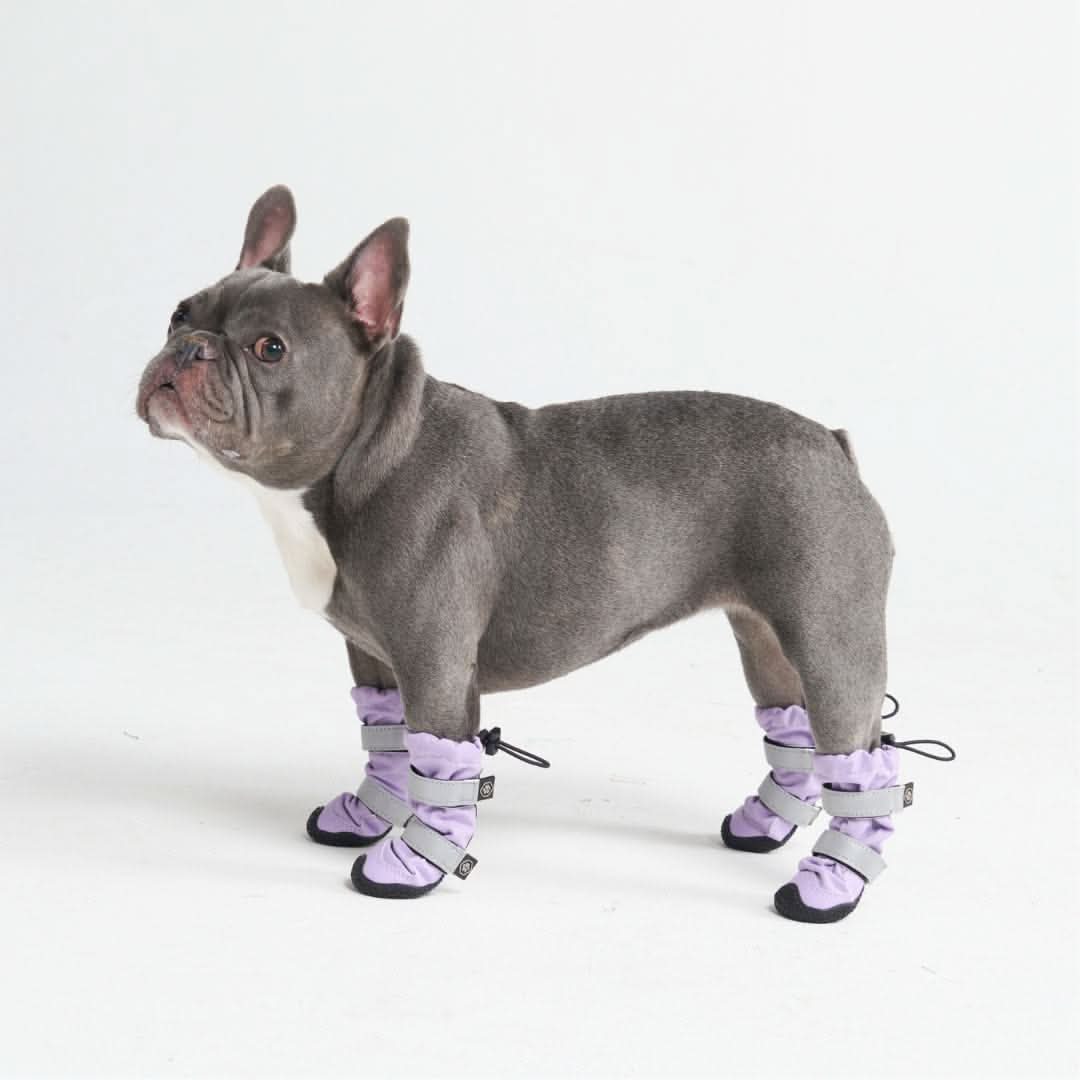 Stivali per cani Flex Shell impermeabili - Image 10