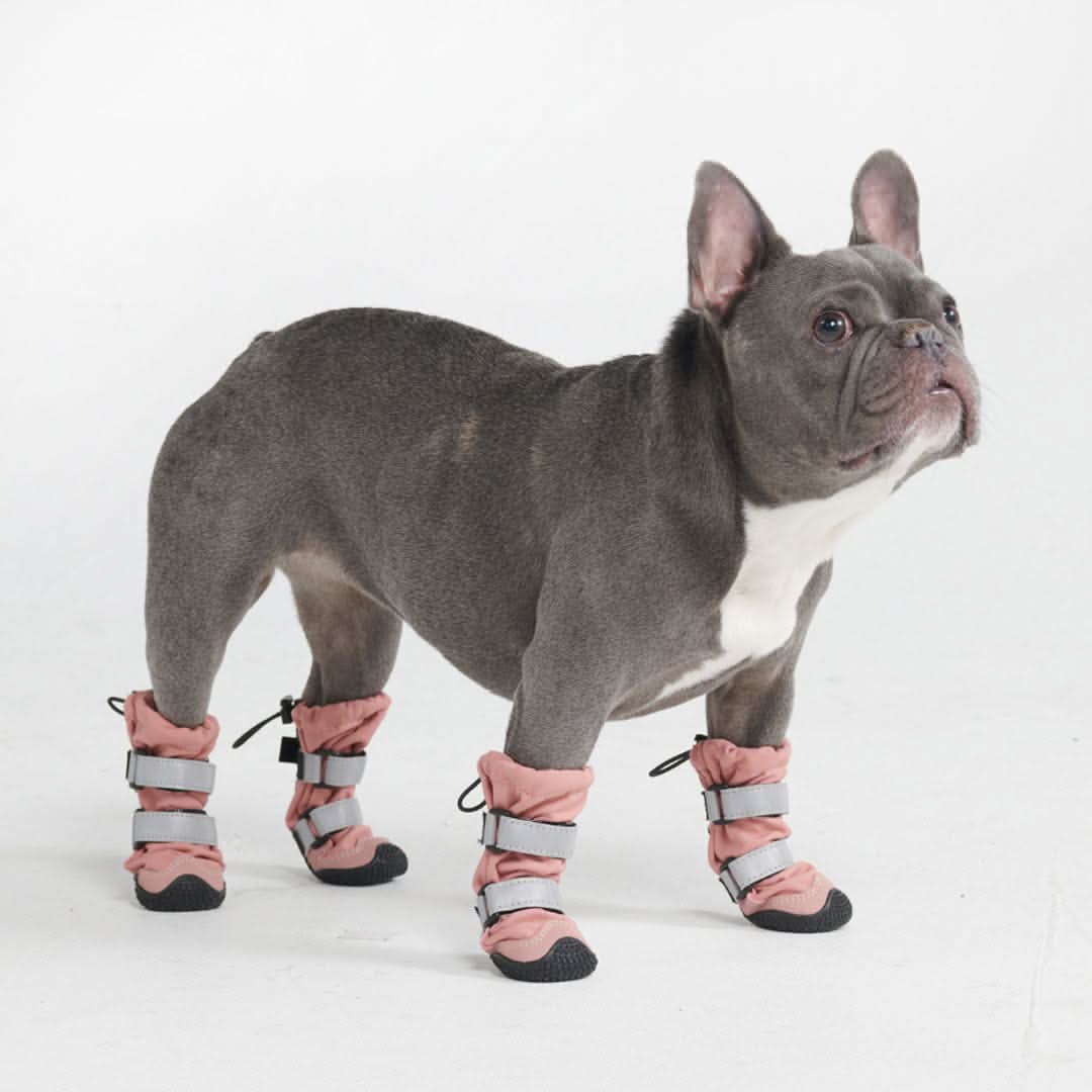 Stivali per cani Flex Shell impermeabili - Image 18