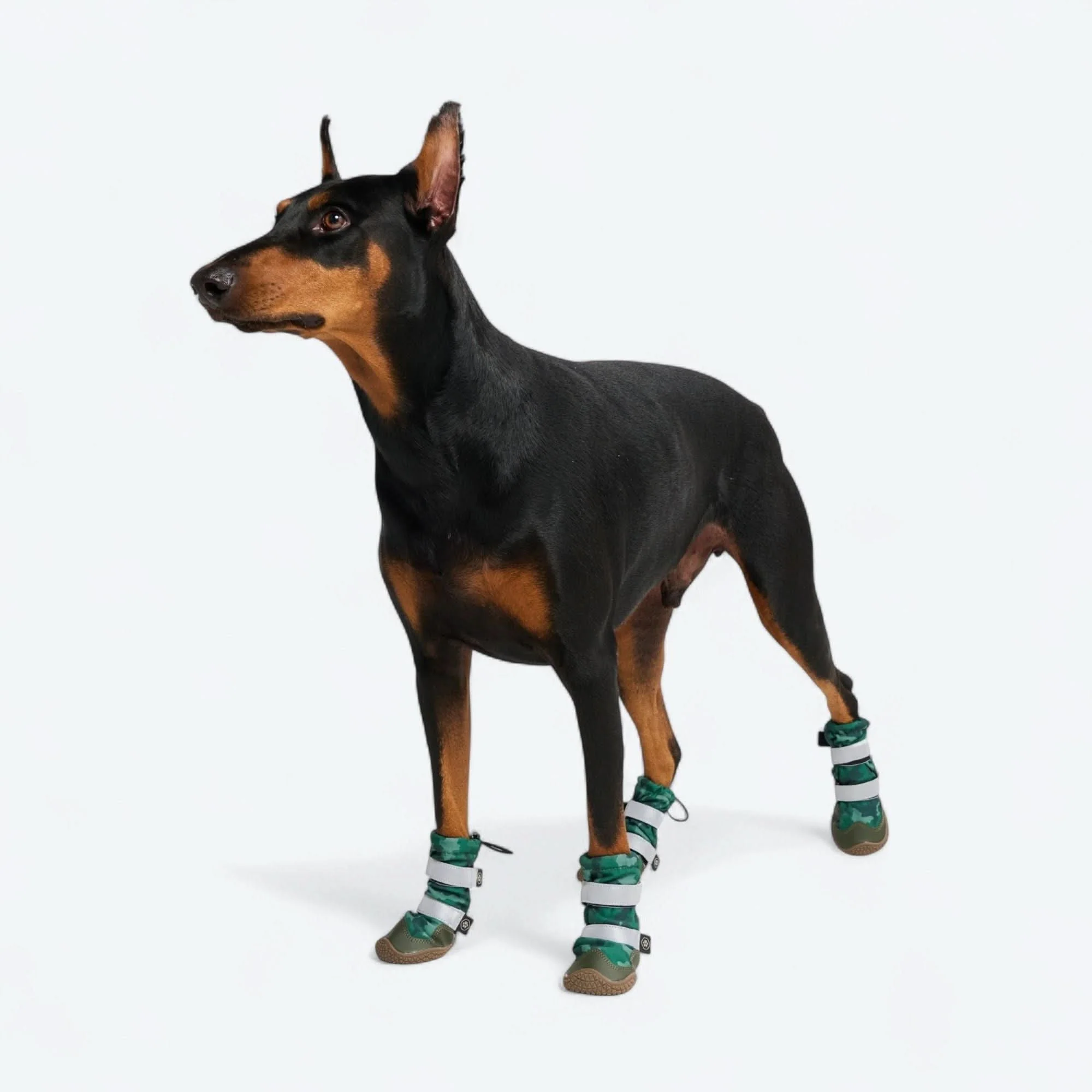 Stivali per cani Flex Shell impermeabili - Image 42