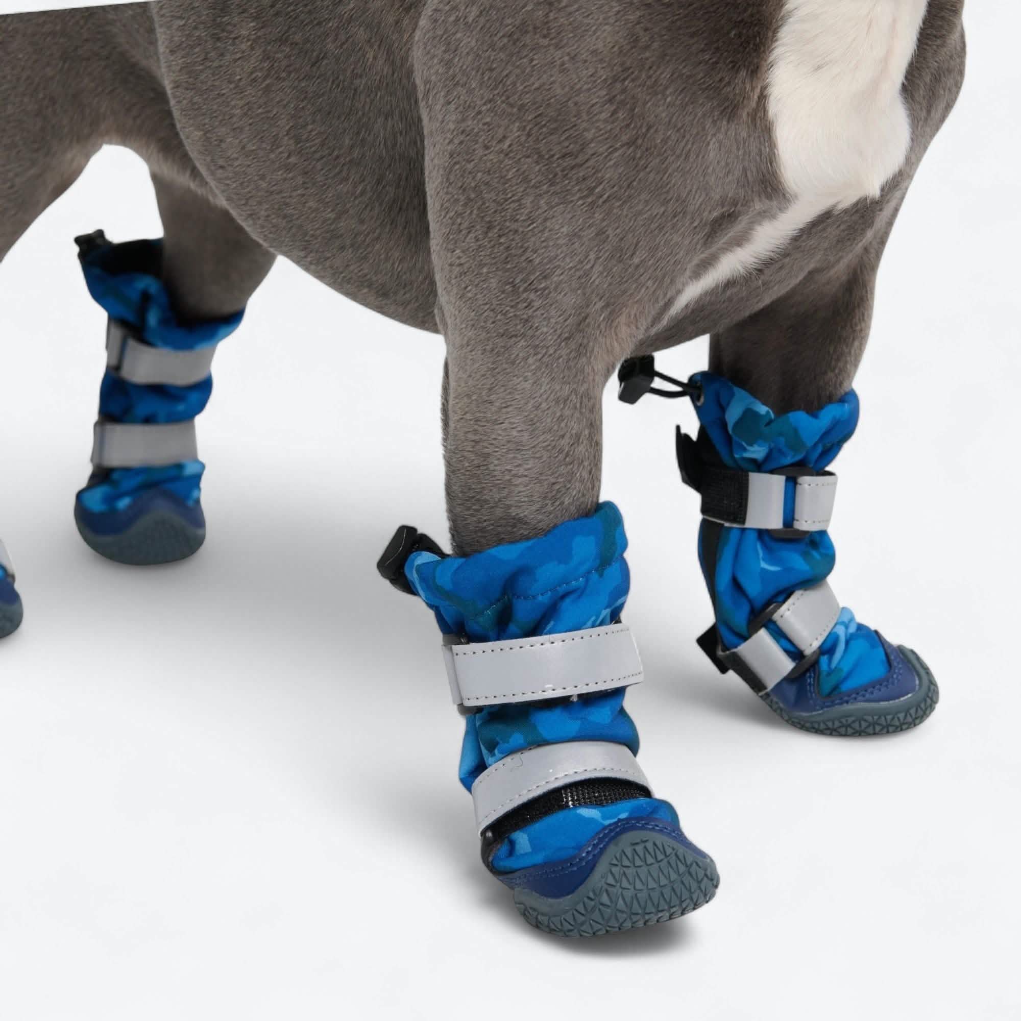 Stivali per cani Flex Shell impermeabili - Image 32