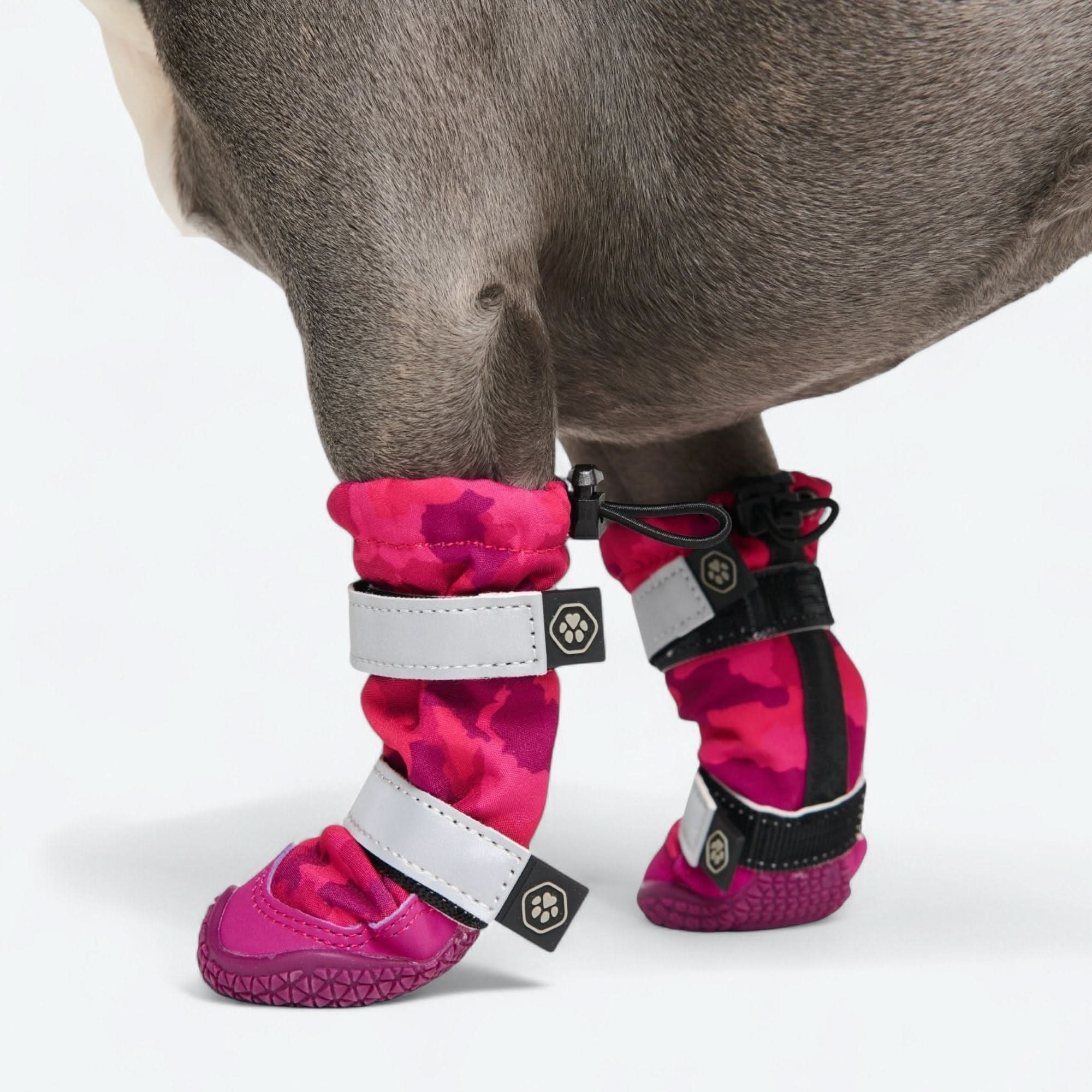 Stivali per cani Flex Shell impermeabili - Image 62