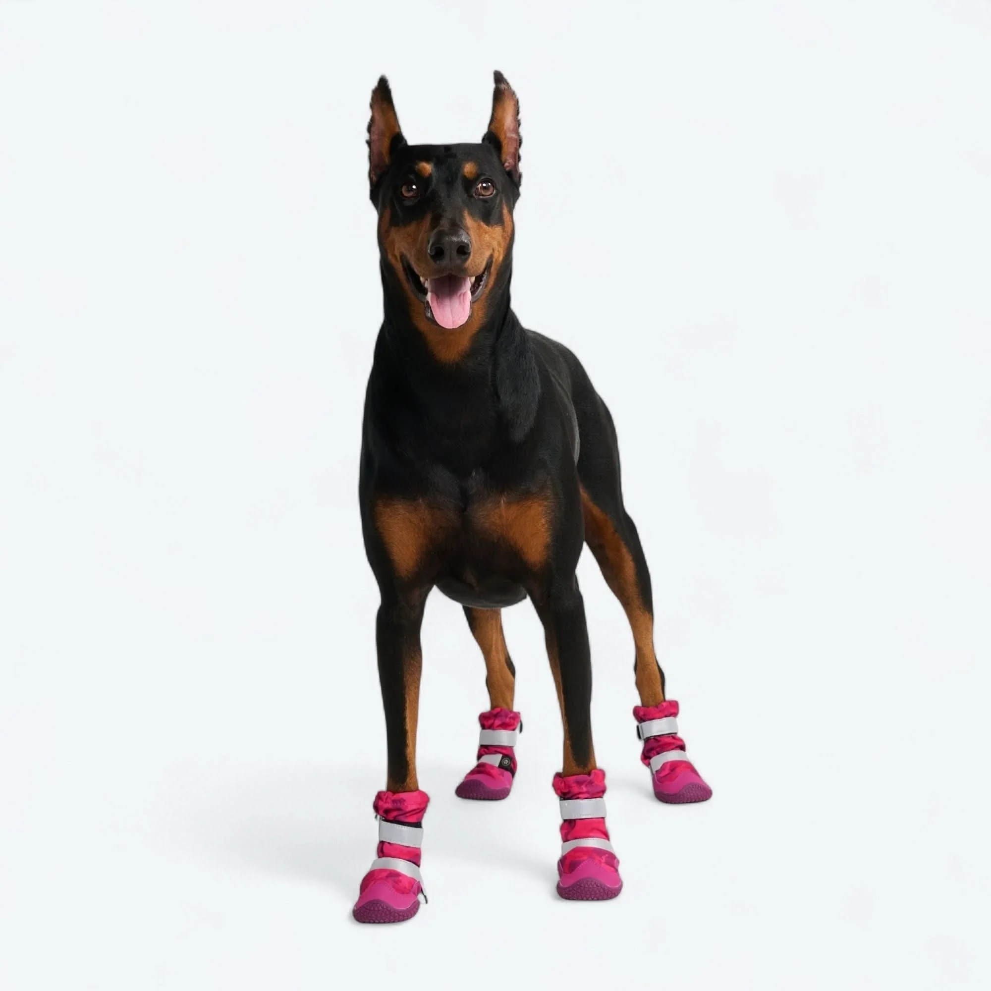 Stivali per cani Flex Shell impermeabili - Image 63